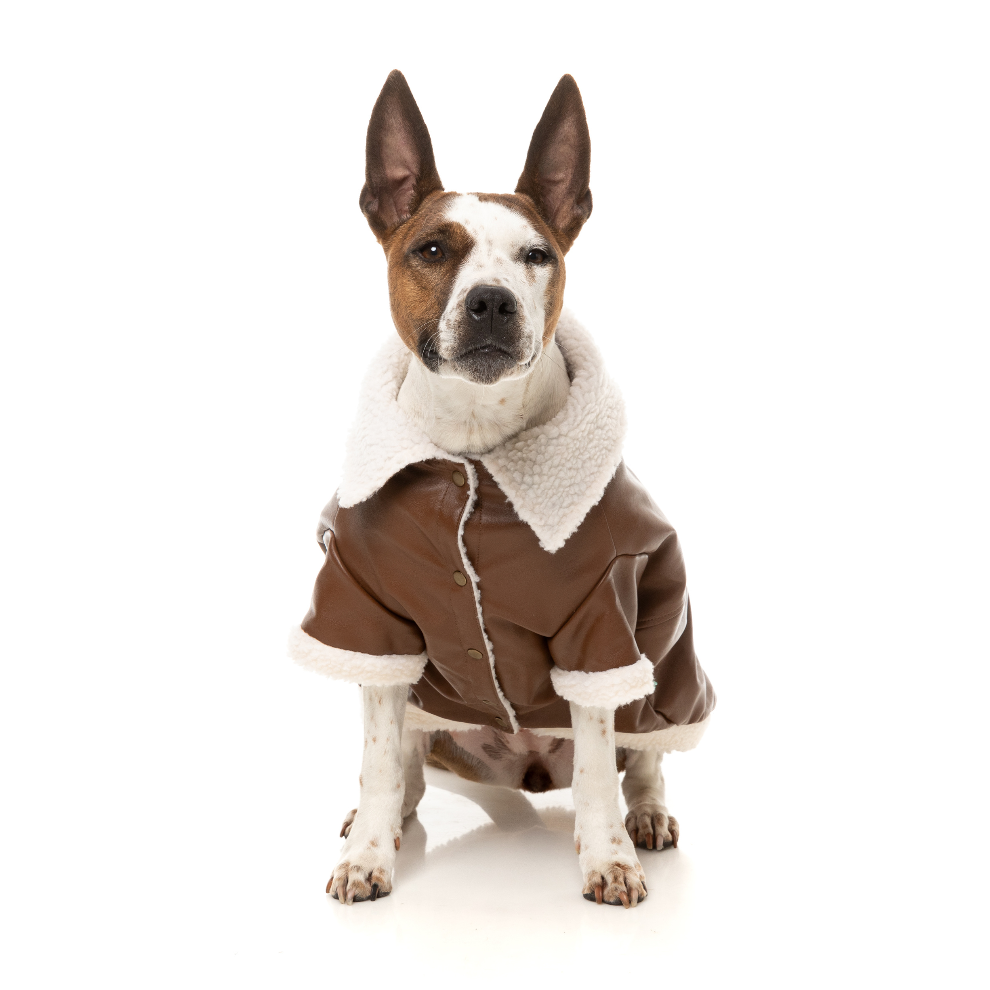 FuzzYard Ava Dog Jacket Brown