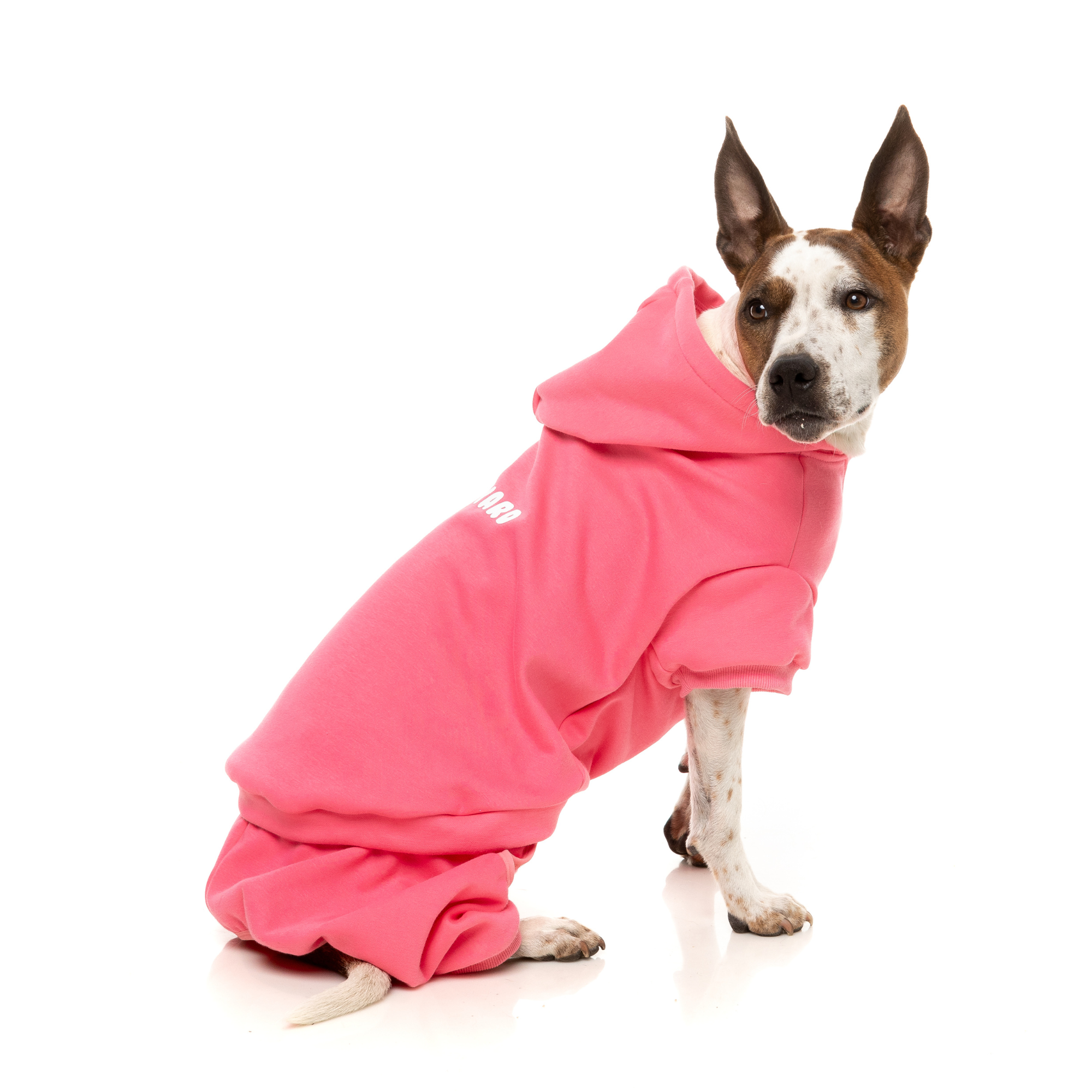 FuzzYard Chillin' Dog Tracksuit Pink