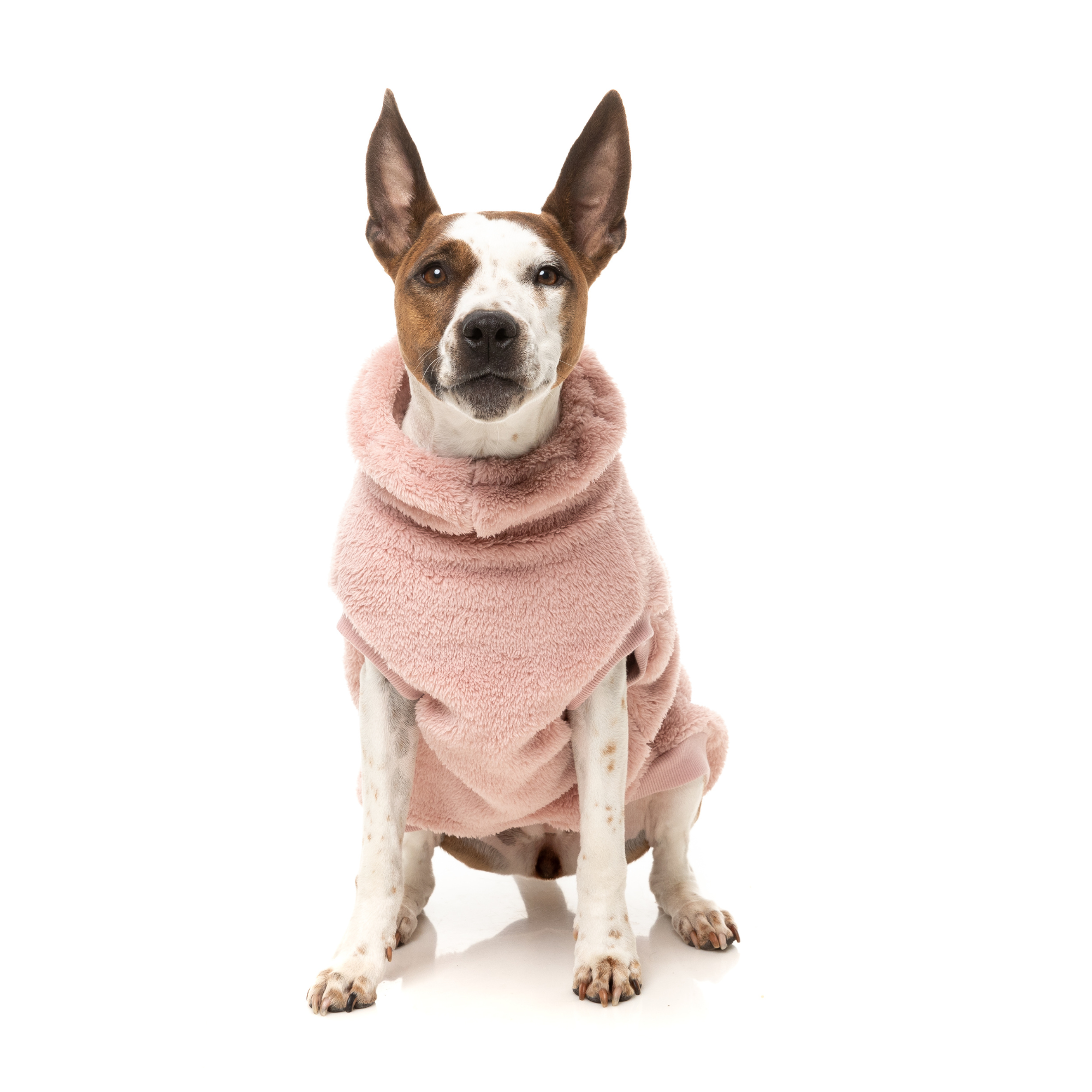 FuzzYard Turtle Teddy Dog Sweater Blossom Pink