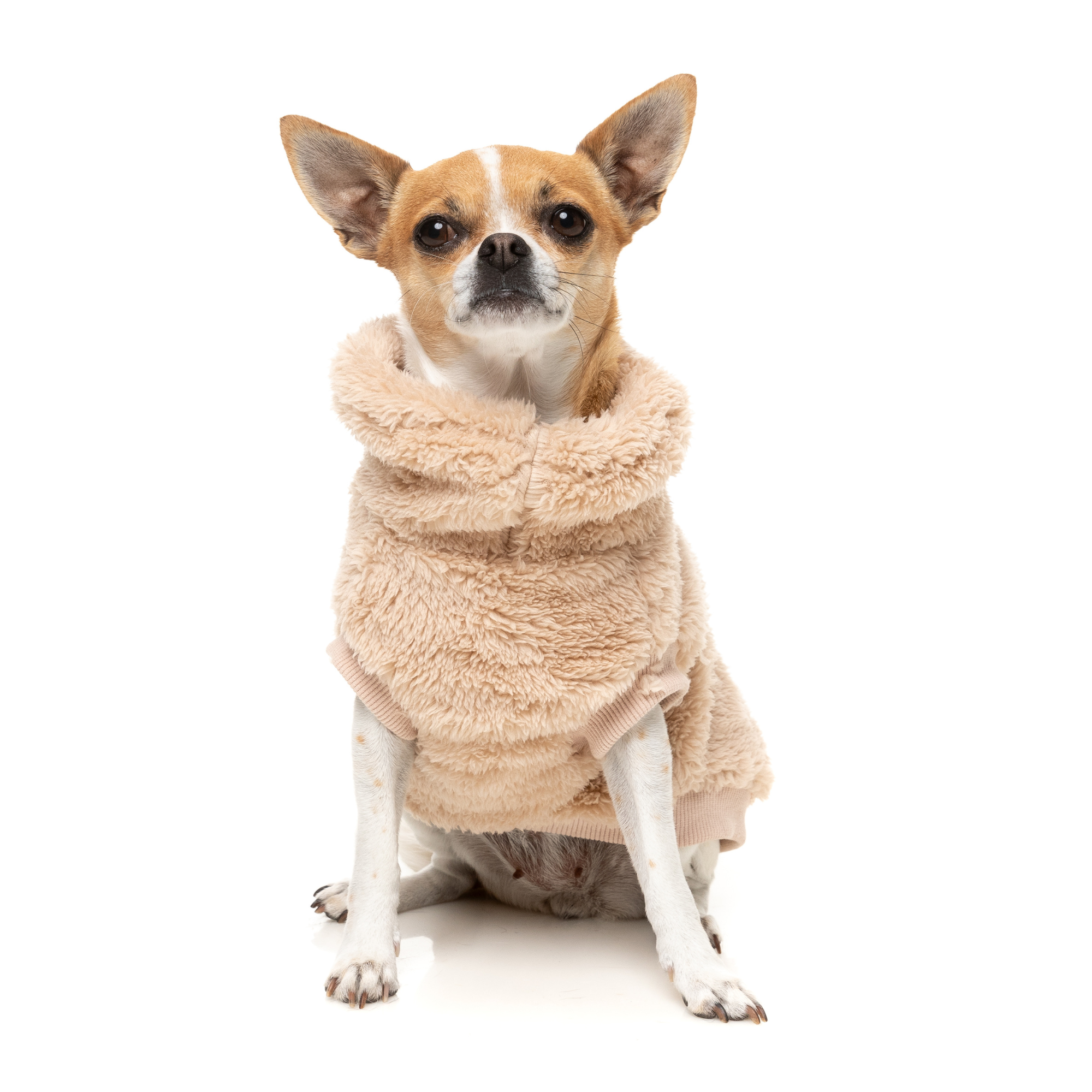 FuzzYard Turtle Teddy Dog Sweater Desert Tan