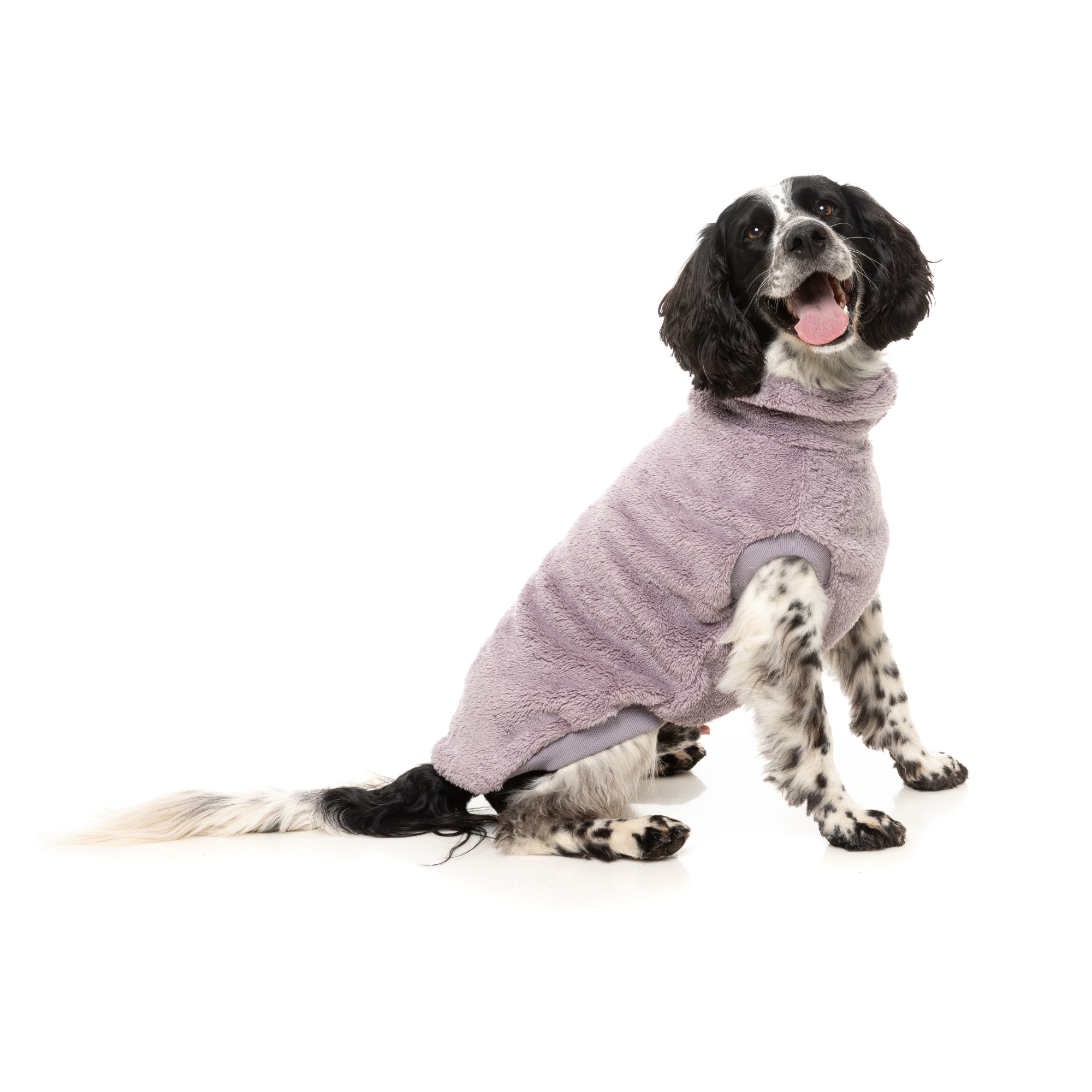 FuzzYard Turtle Teddy Dog Sweater Lavender