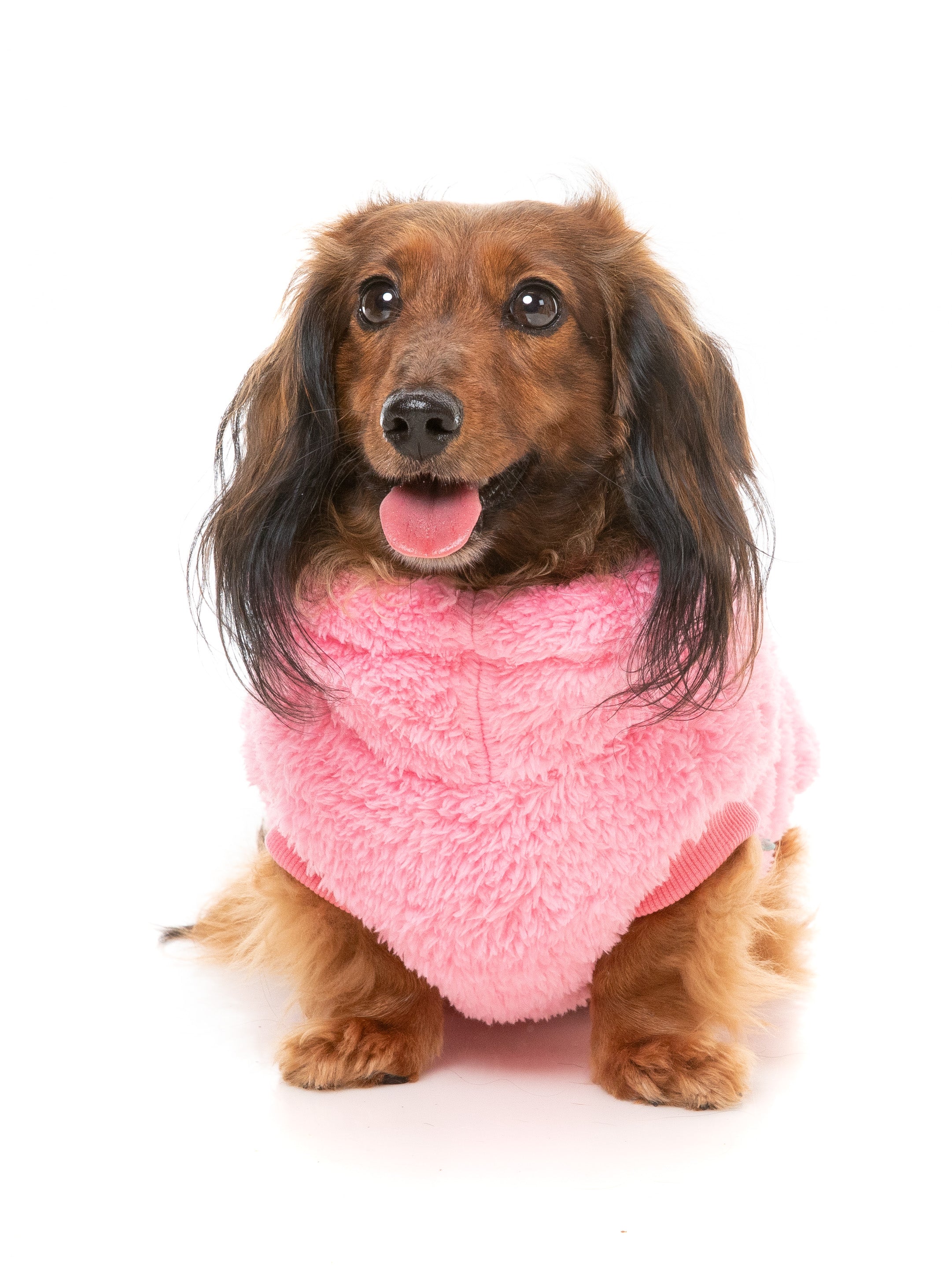 FuzzYard Turtle Teddy Dog Sweater Pink