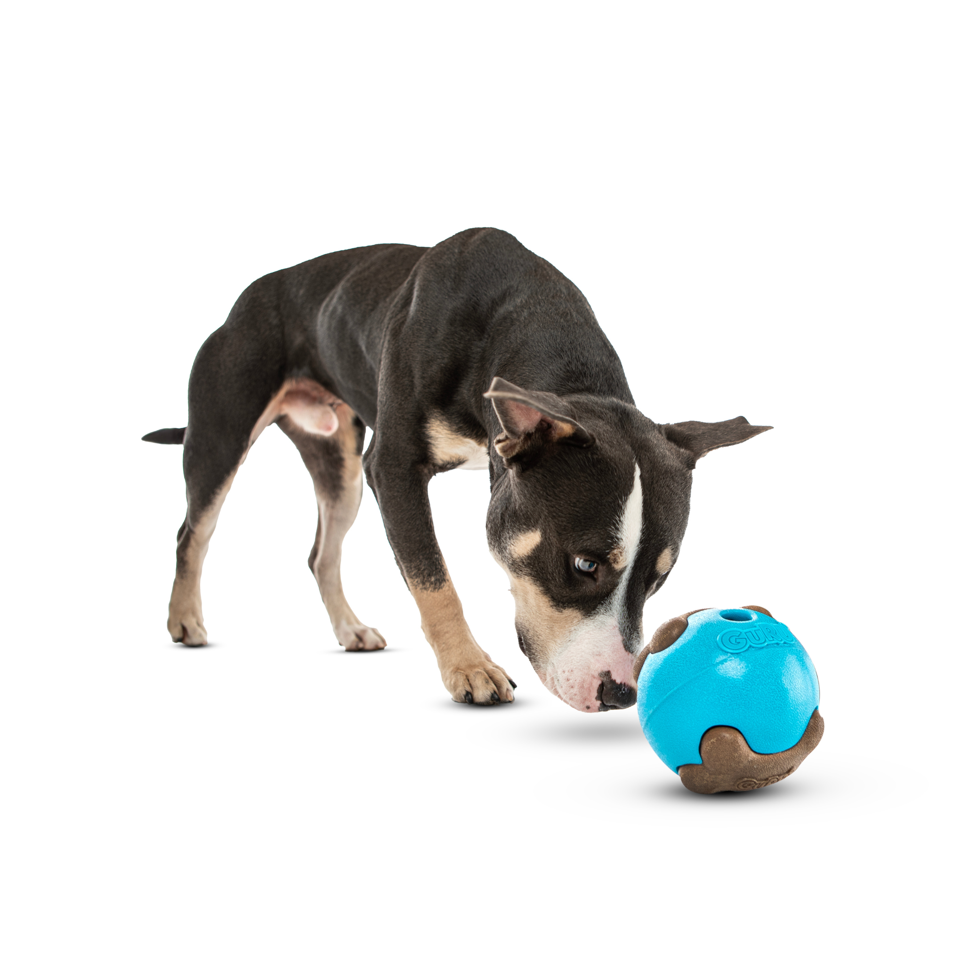 GURU Busy Ball Dog Toy Medium/Large