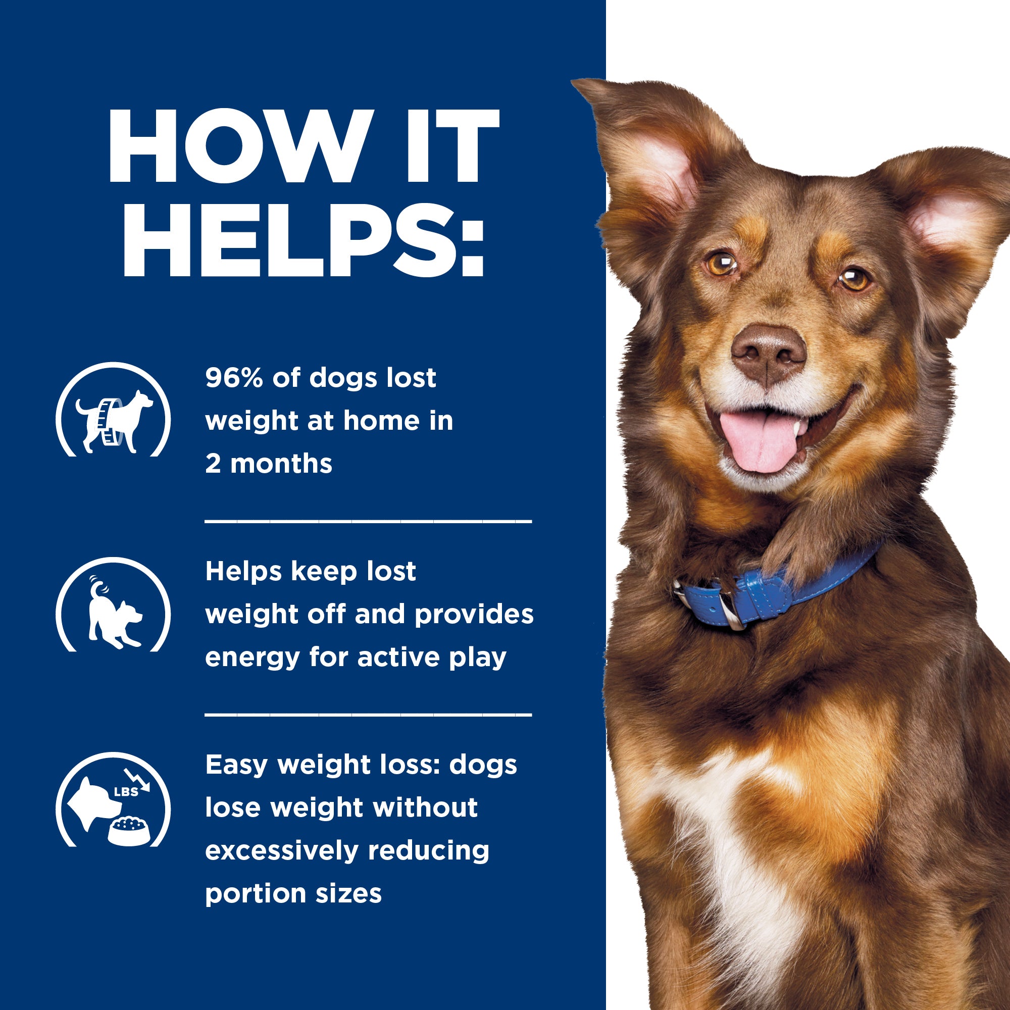 Metabolic weight loss dog food hotsell