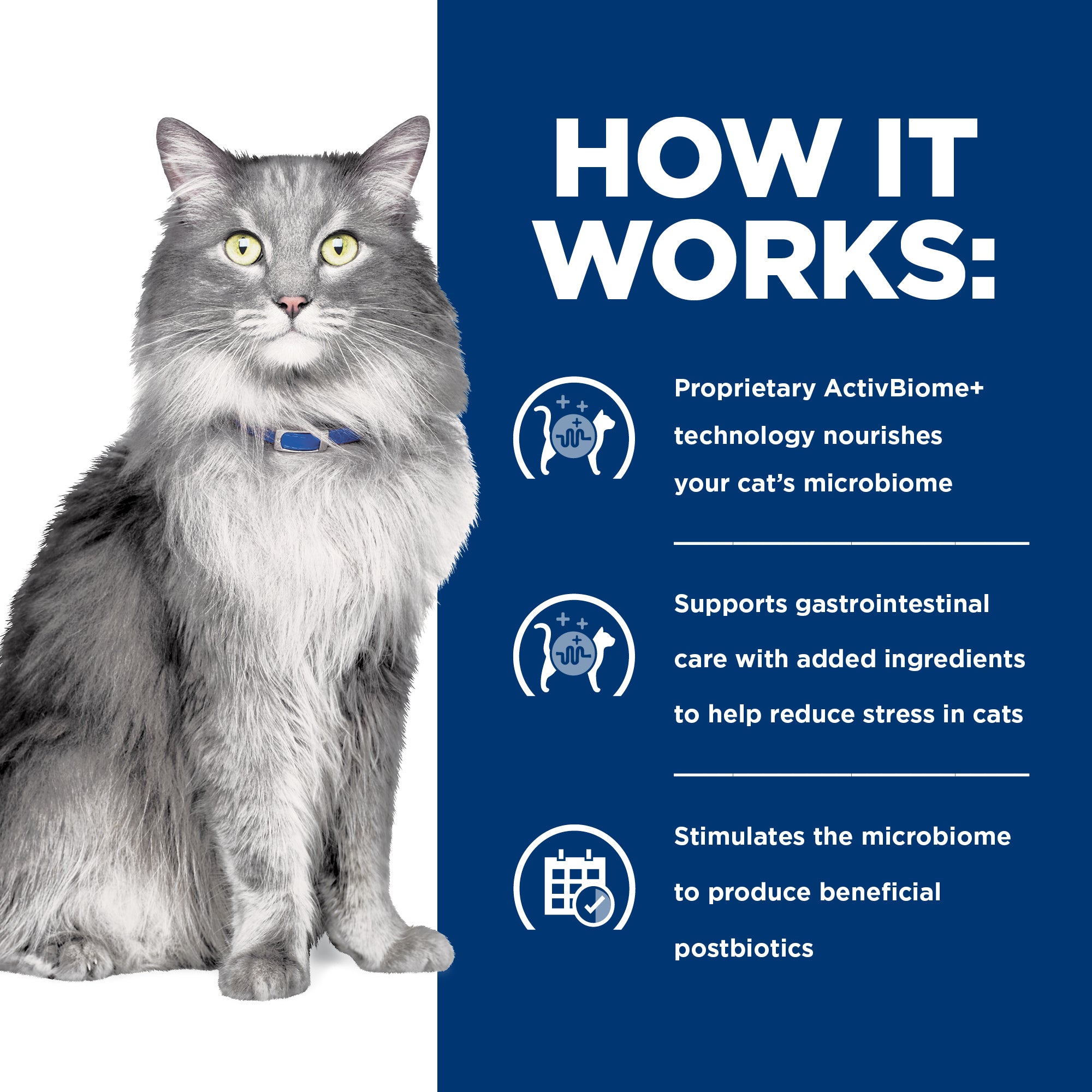 Hill's Prescription Diet Gastrointestinal Biome Stress Digestive/Fibre Care Dry Cat Food 1.8kg