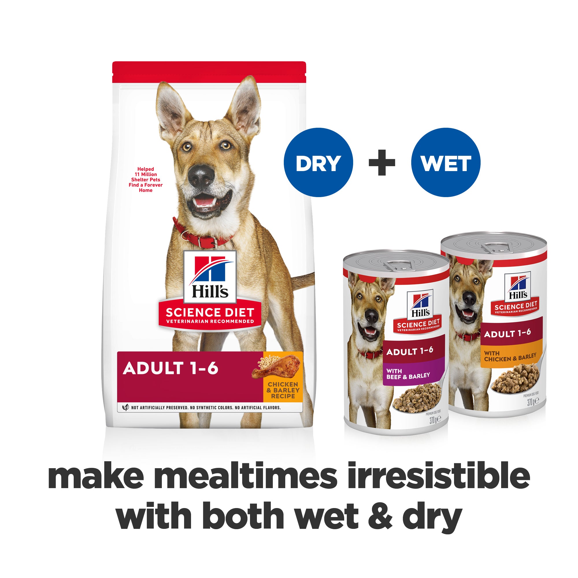 Hill's Science Diet Adult Beef & Barley Canned Dog Food 370g x 12