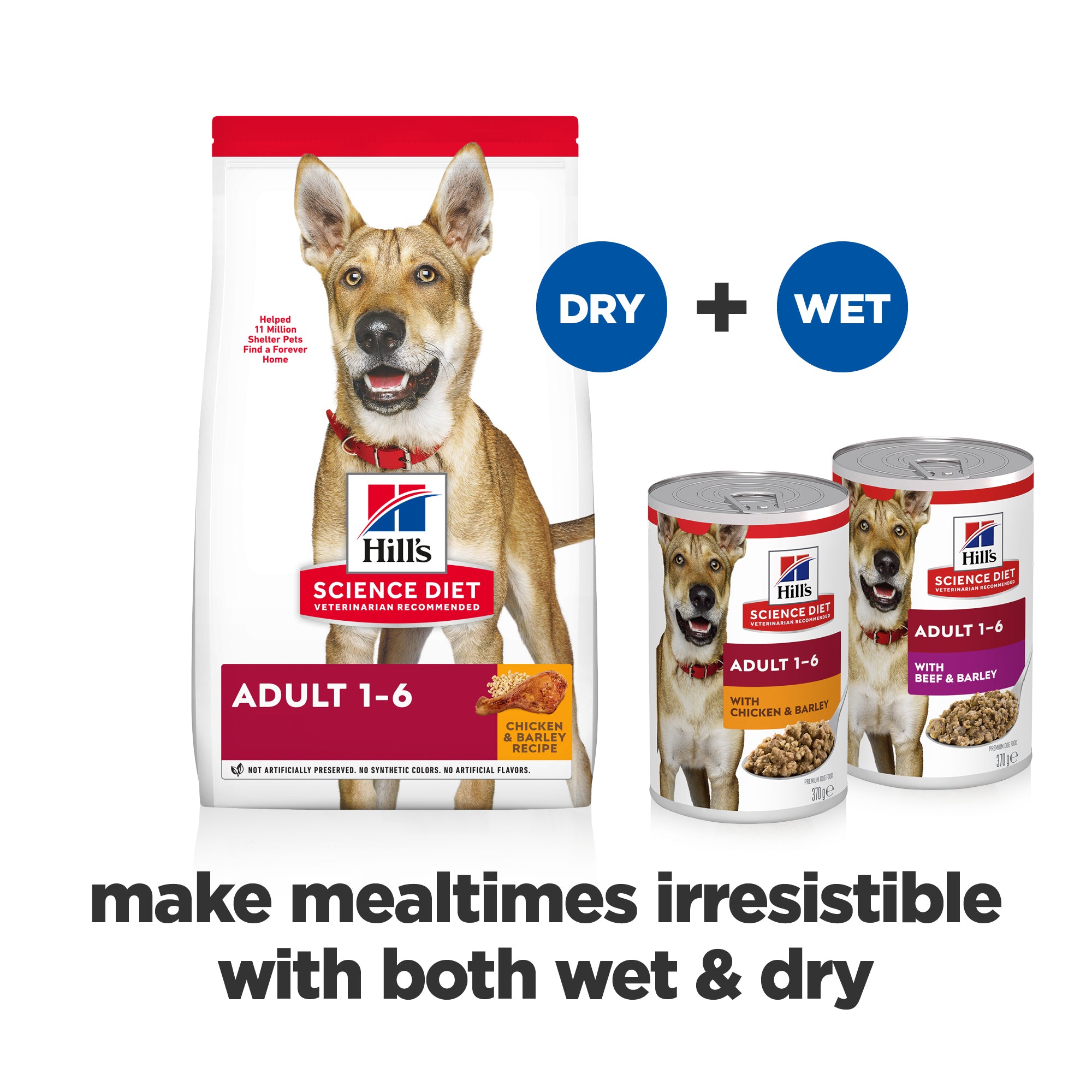 Hill's Science Diet Adult Chicken & Barley Canned Dog Food 370g x 12