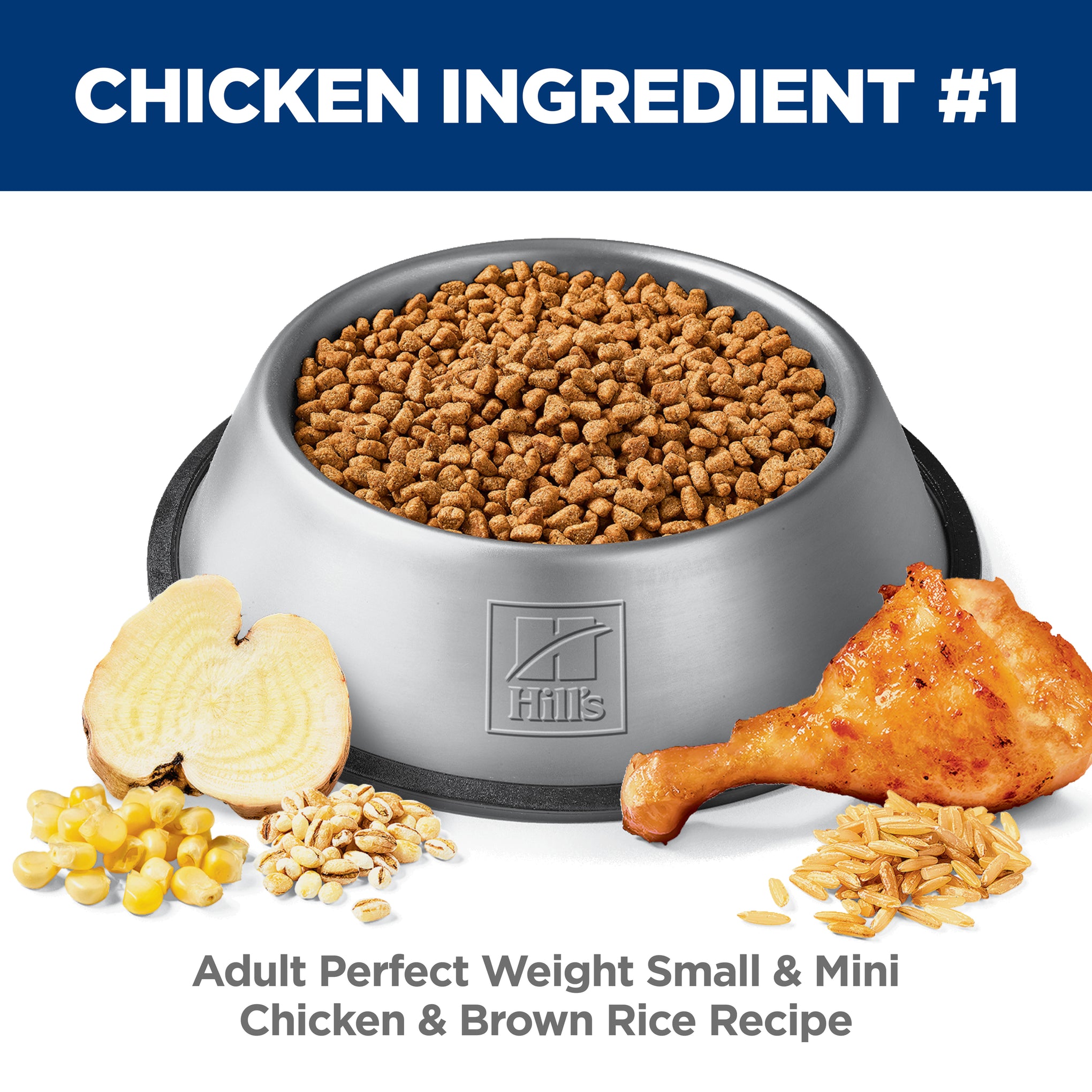 Hill's Science Diet Adult Perfect Weight Small & Mini Dry Dog Food