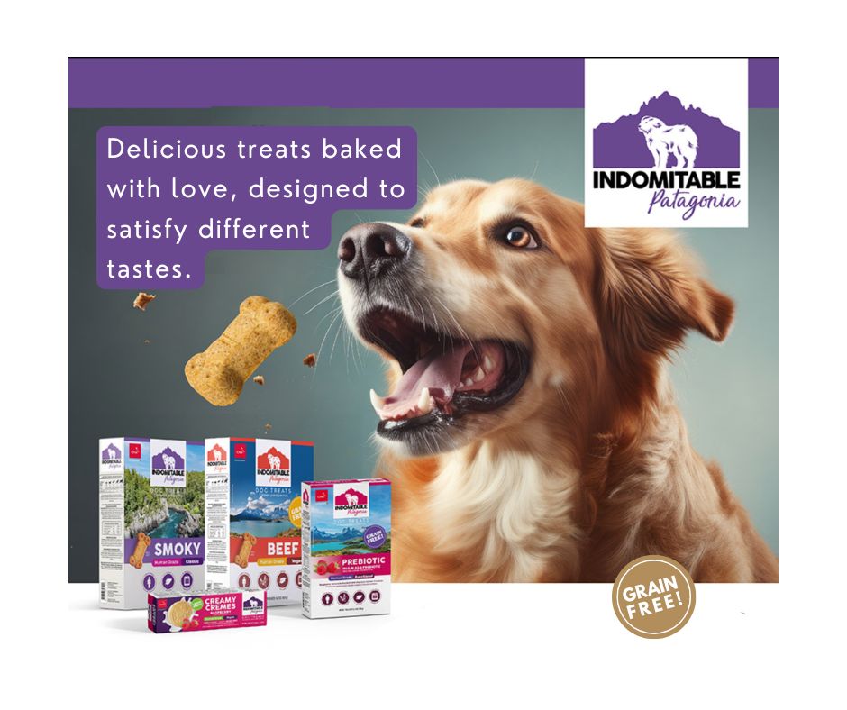Indomitable Patagonia Prebiotic Blueberry Biscuits Grain Free Dog Treats 180g