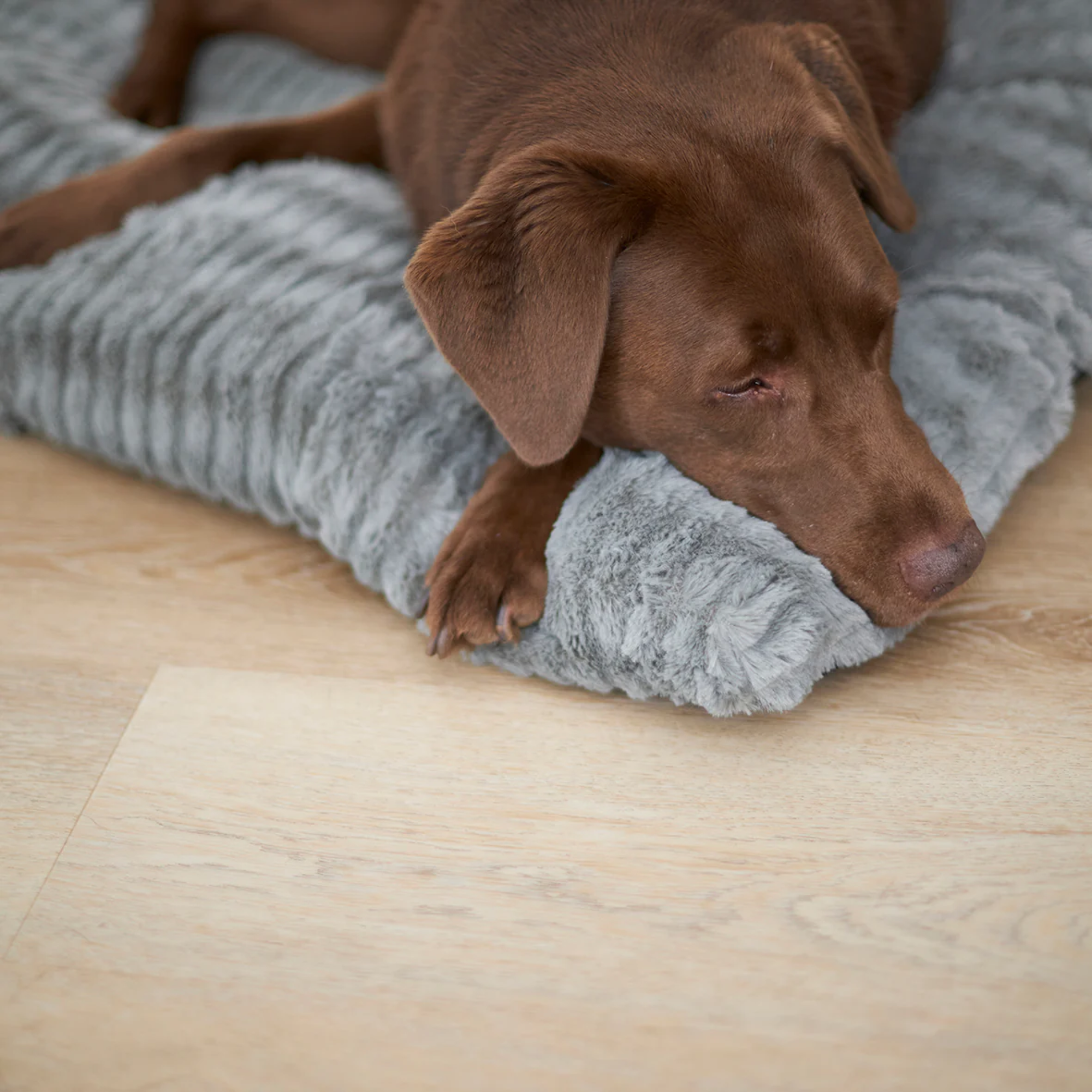 Kazoo Soft Dog Crate Cushion Storm Grey