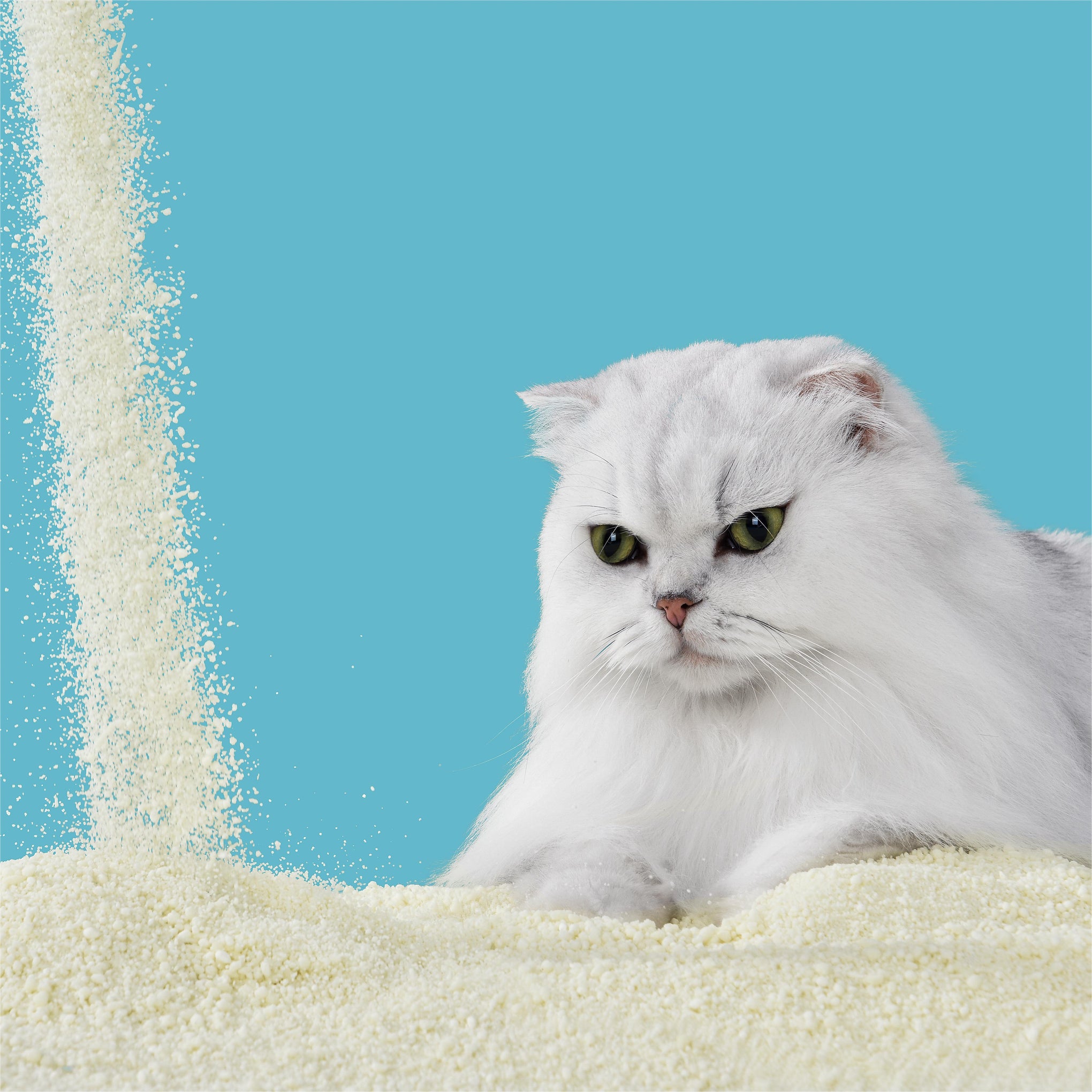 Michu Wonder Plant Based Cat Litter 2.5kg x 3