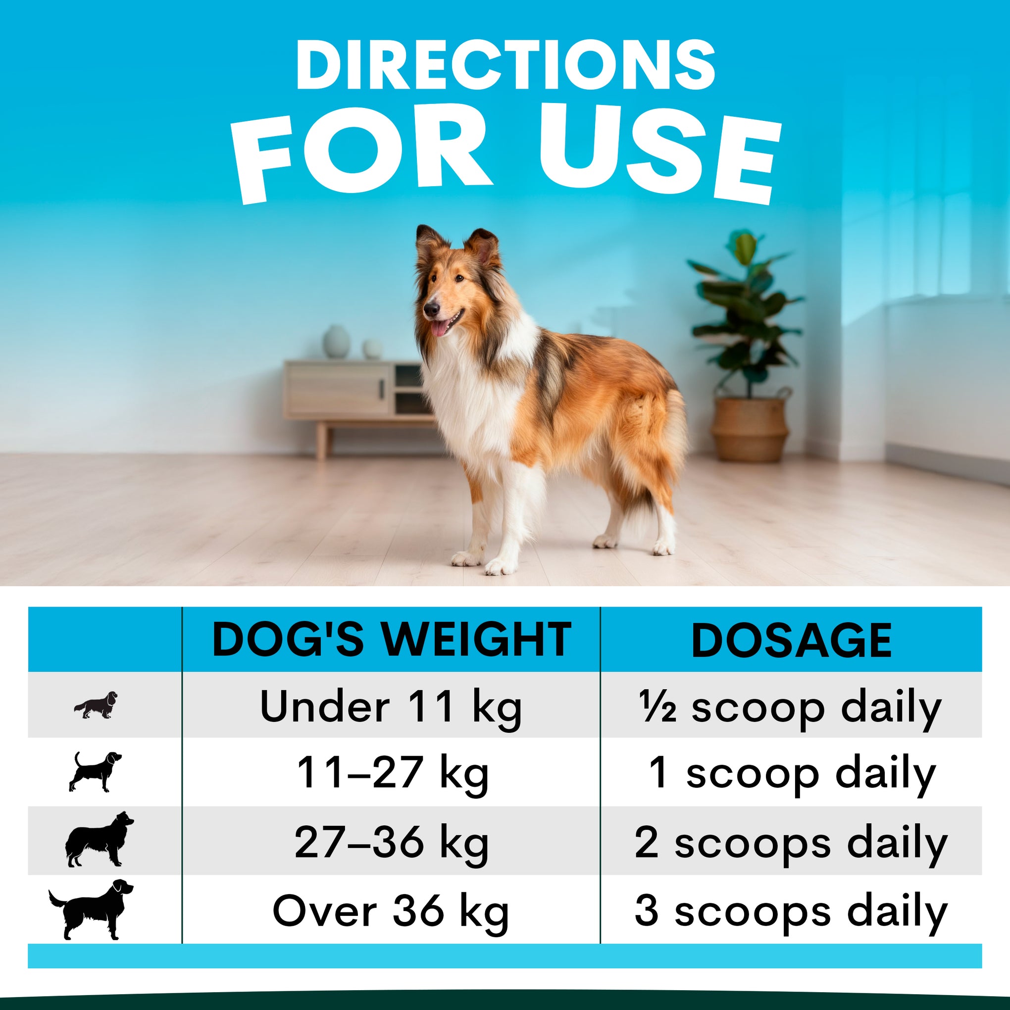 Petz Park Skin + Coat for Dogs