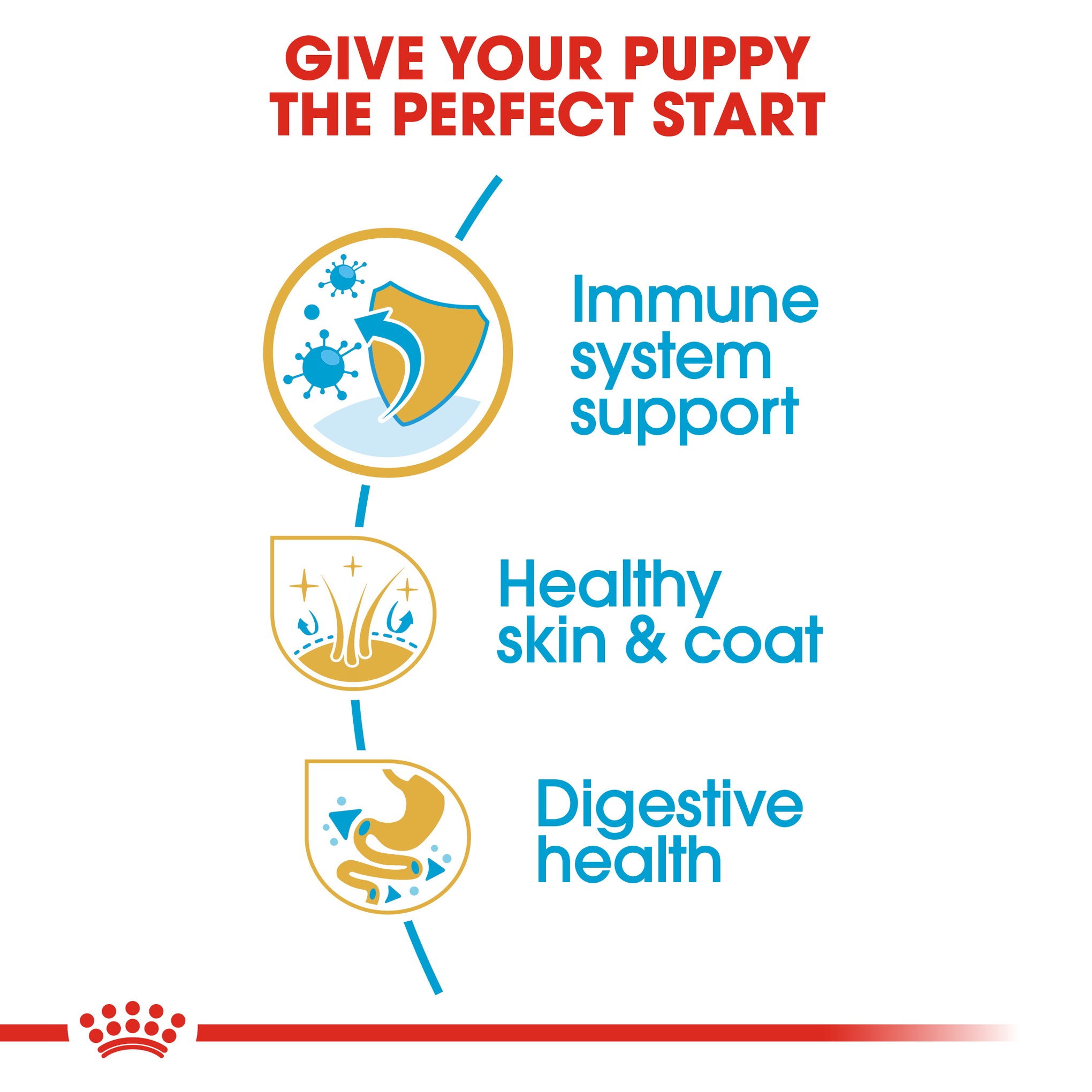 Royal Canin Golden Retriever Puppy Dry Dog Food 12kg