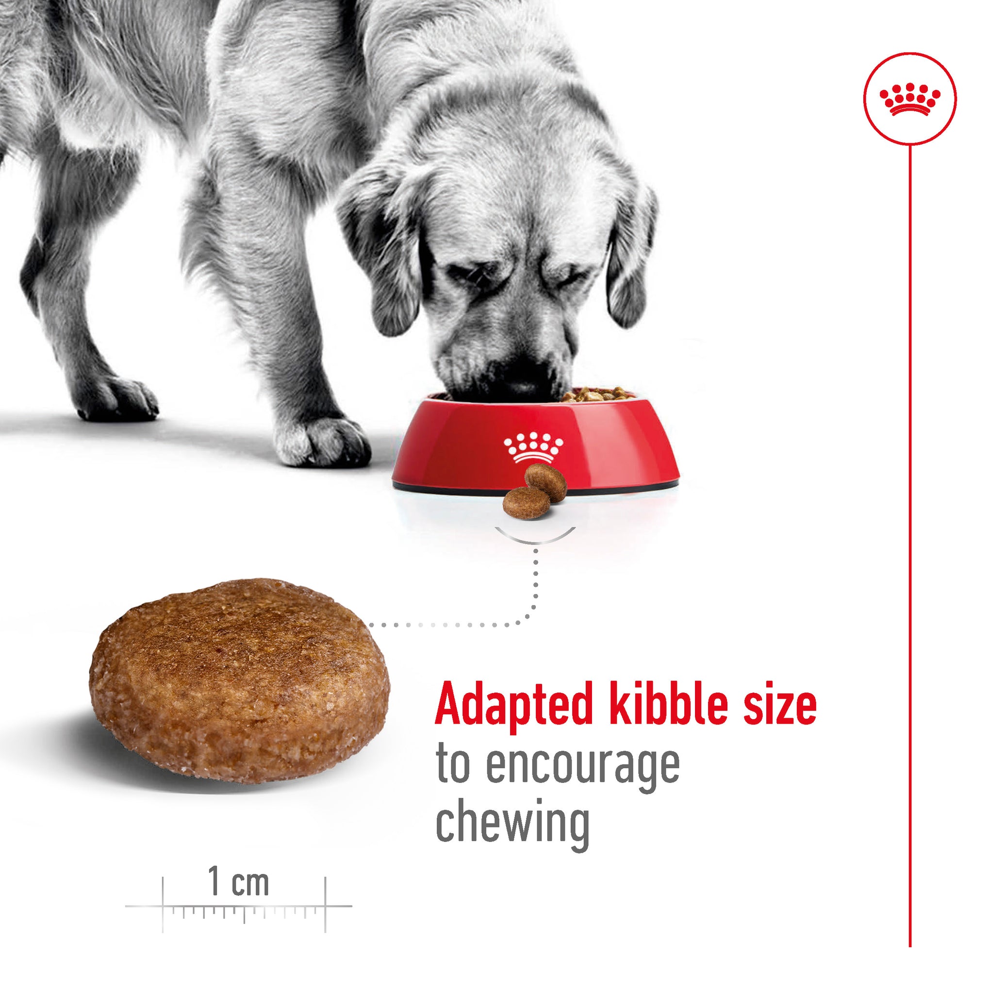 Royal Canin Maxi Adult 5+ Dry Dog Food 15kg
