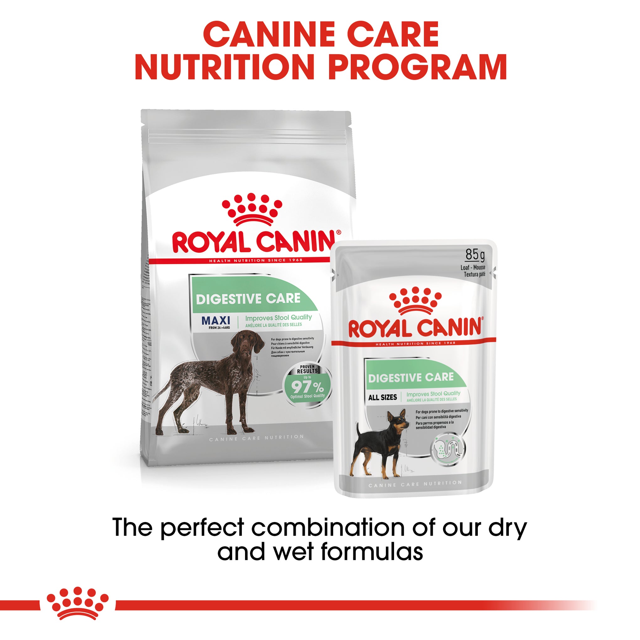 Royal Canin Maxi Digestive Care Adult Dry Dog Food 12kg