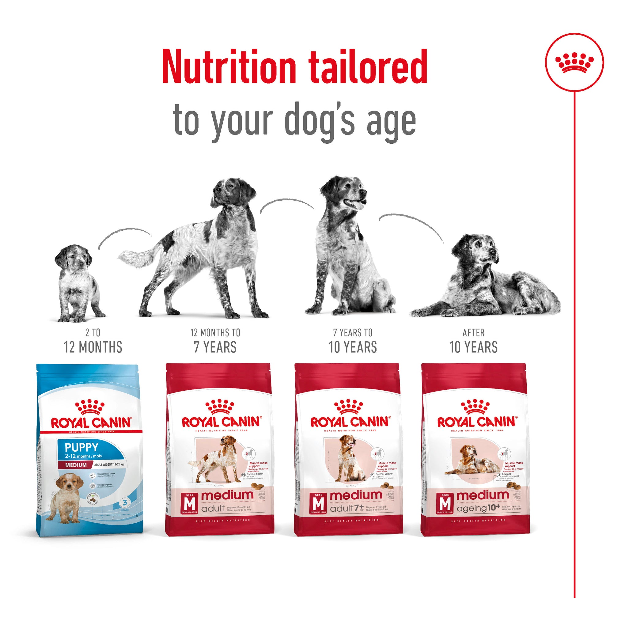 Royal Canin Medium Adult 7+ Dry Dog Food 15kg