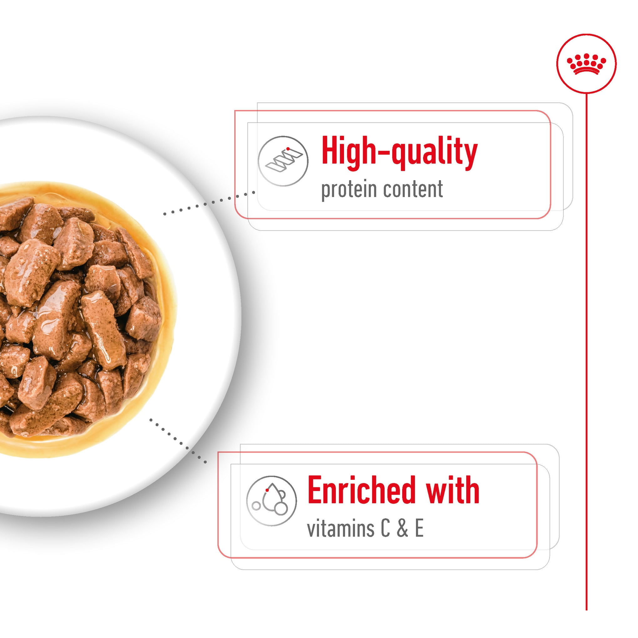 Royal Canin Medium Adult Wet Dog Food Pouches 140g x 10
