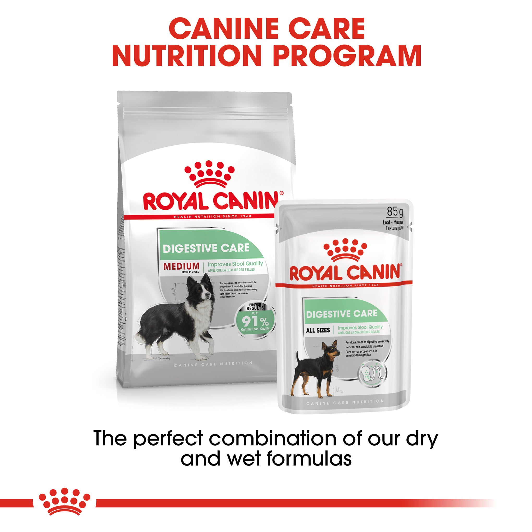 Royal Canin Medium Digestive Care Adult Dry Dog Food 12kg