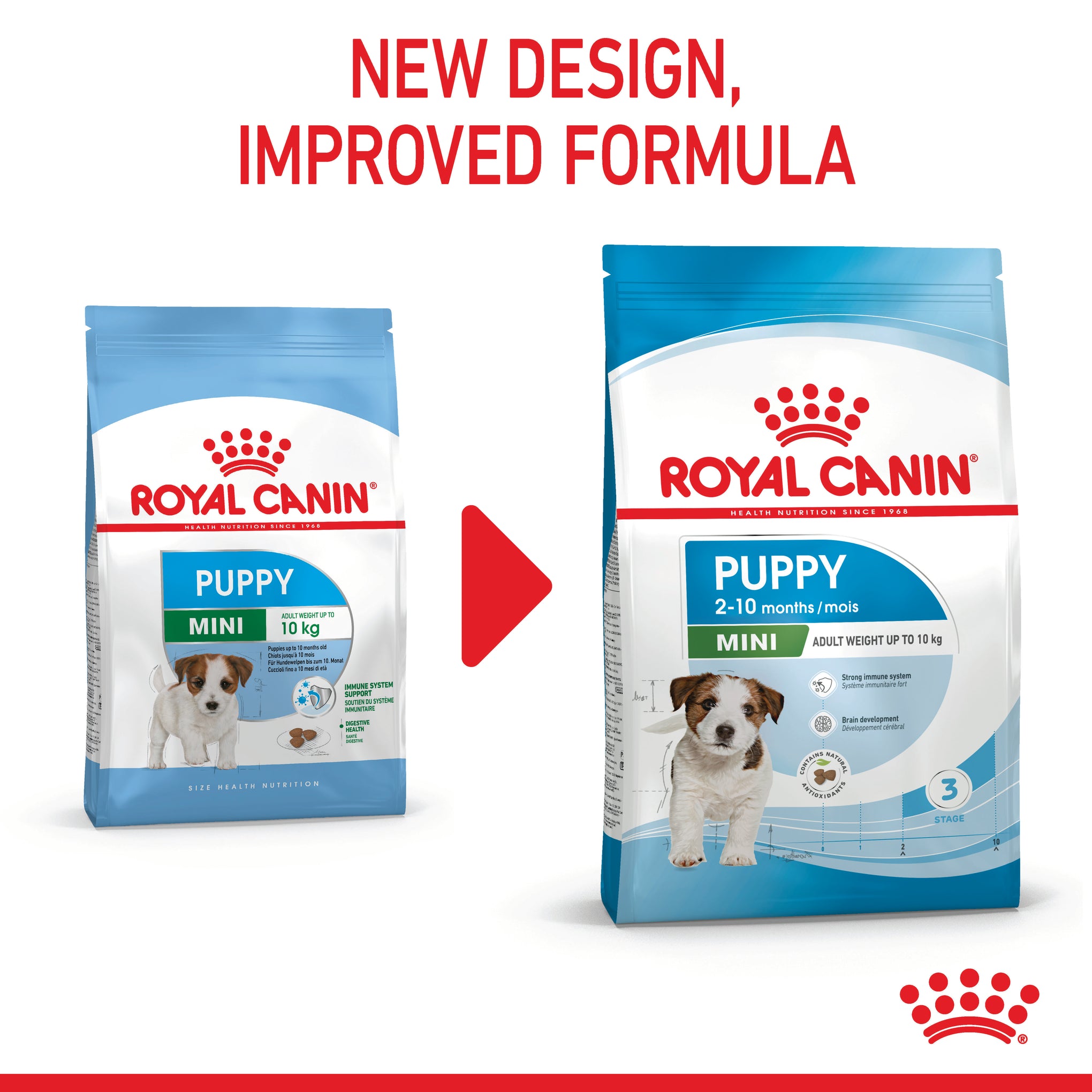 Royal Canin Mini Puppy Dry Dog Food