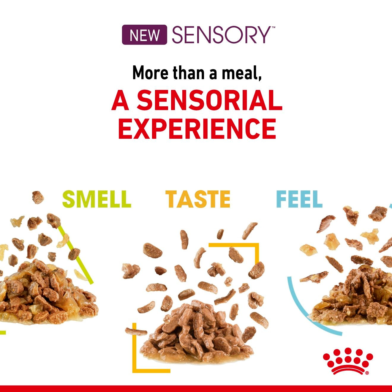 Royal Canin Sensory Feel Gravy Adult Wet Cat Food Pouches 85g x 12