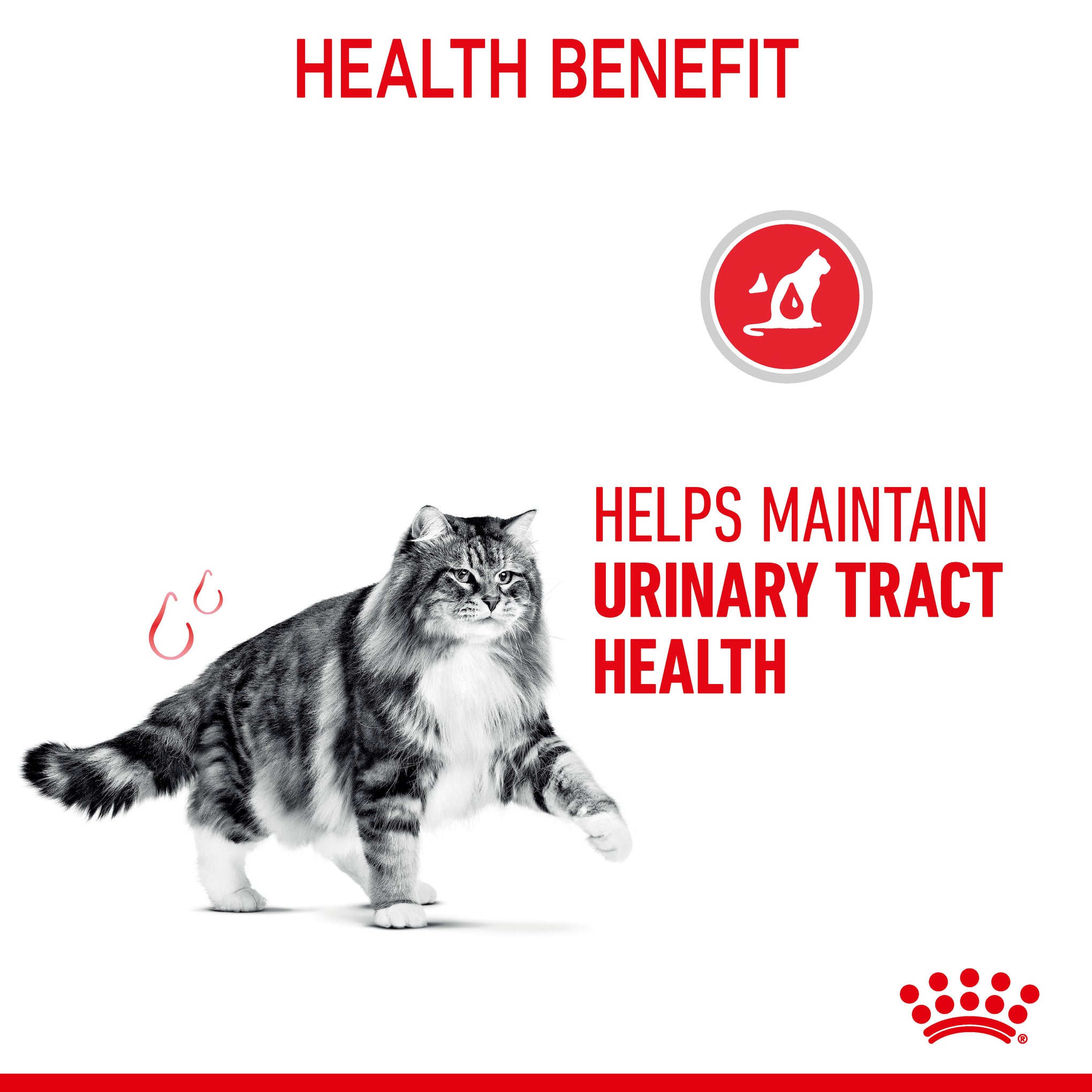 Royal Canin Urinary Care Adult Dry Cat Food
