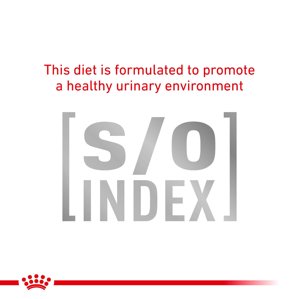 Royal Canin Veterinary Diet Urinary S/O Adult Dry Dog Food