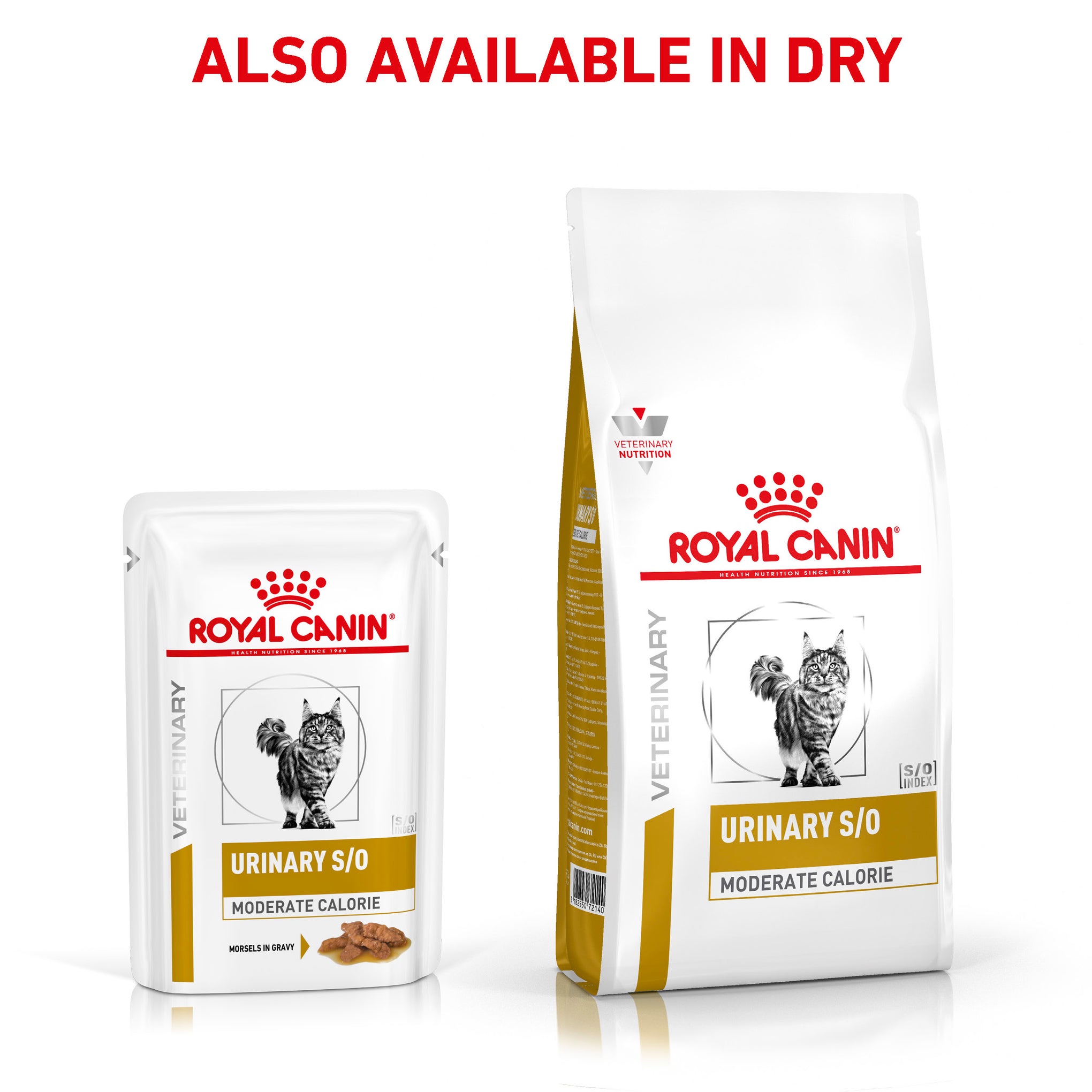 Royal Canin Veterinary Diet Urinary S/O Moderate Calorie Adult Wet Cat Food 85g x 12