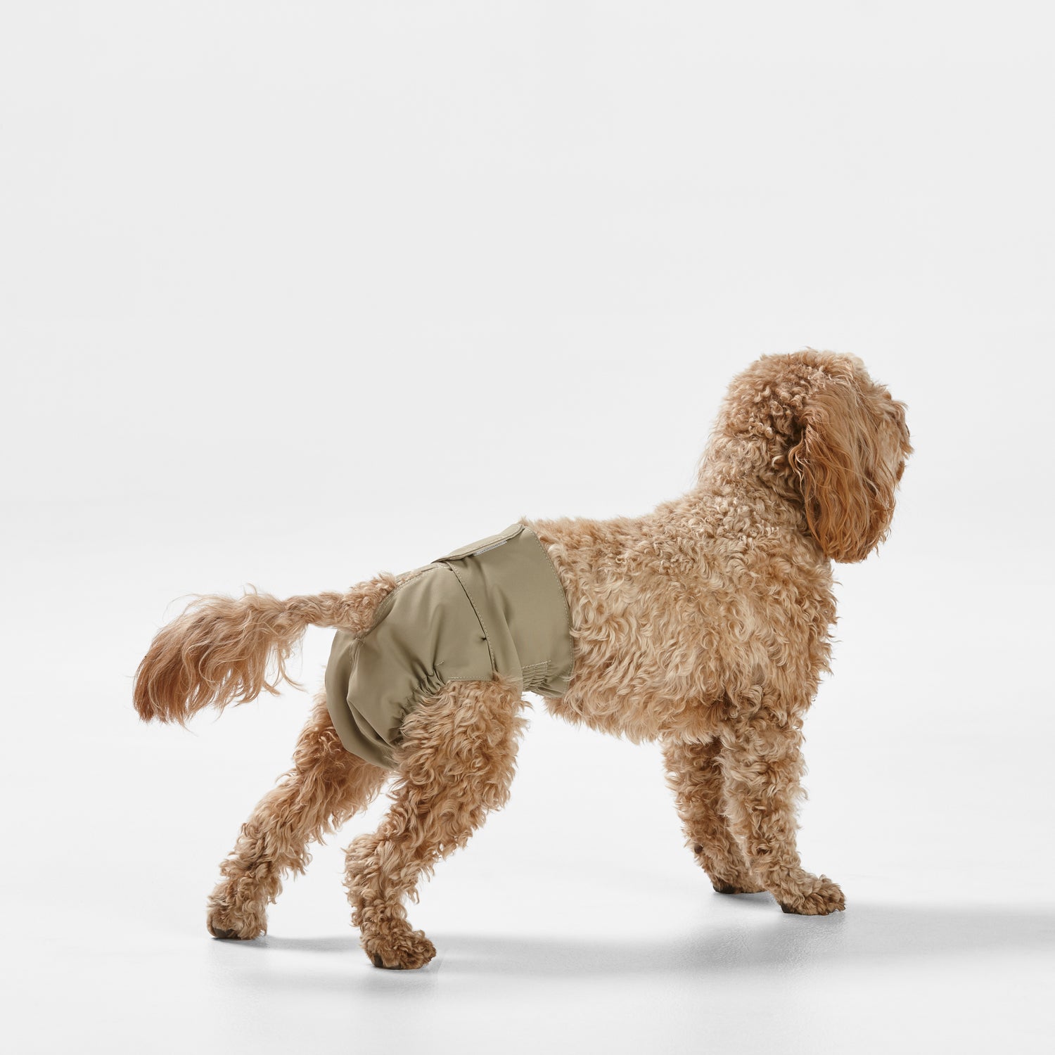 Snooza Washable Nappy Pant for Female Dogs 2 Pack