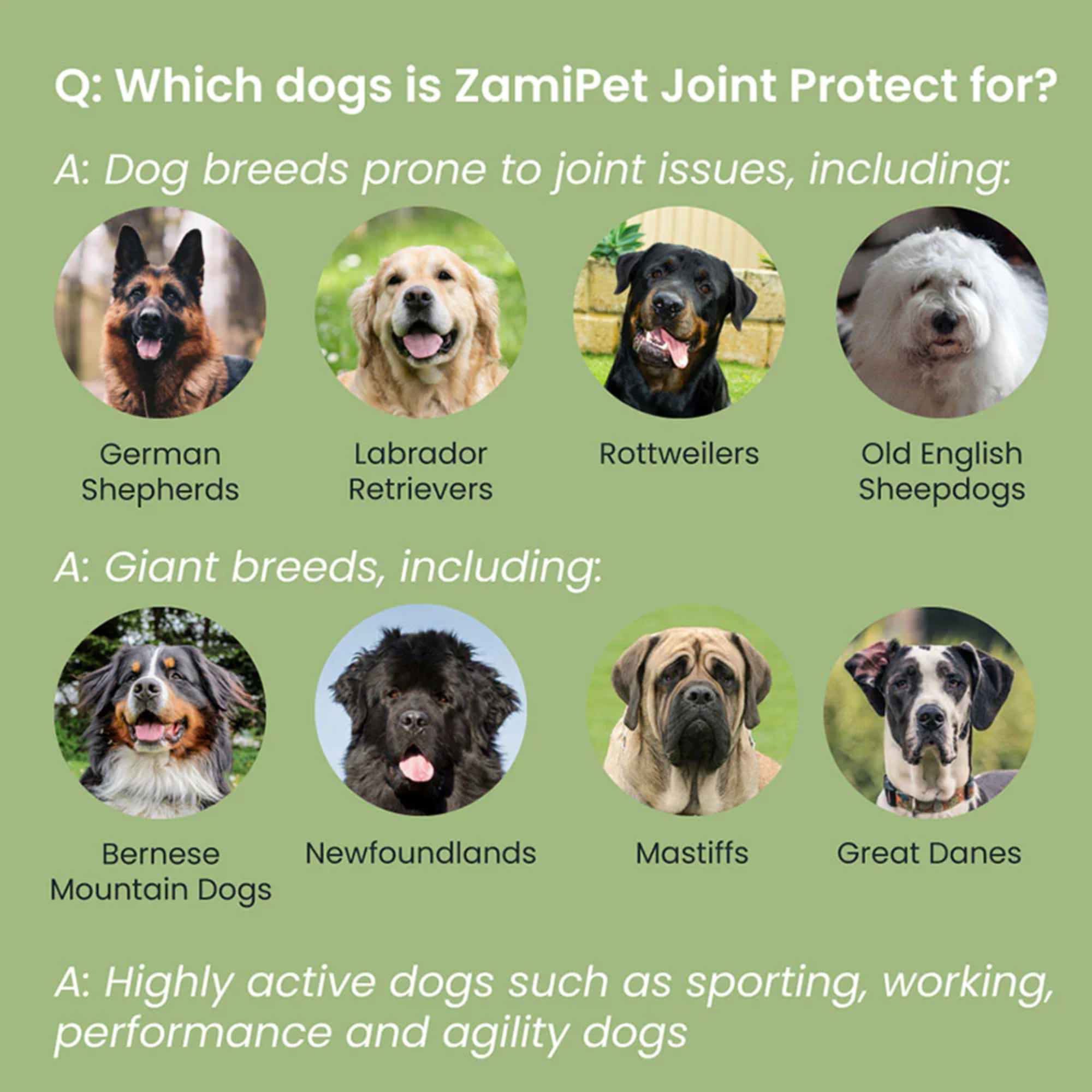 ZamiPet Joint Protect Chews for Dogs