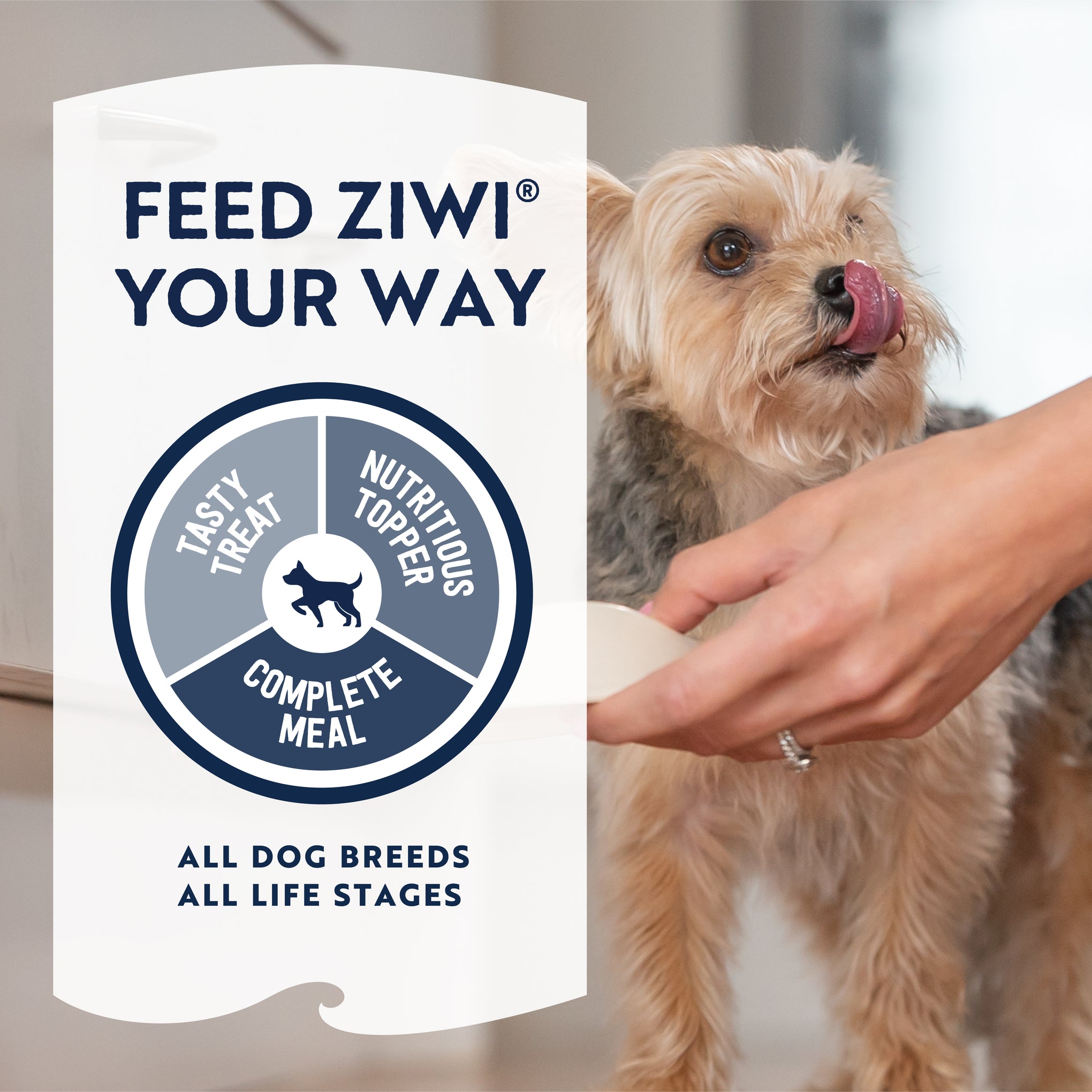 Ziwi Peak Dog Food Air Dried Mackerel & Lamb