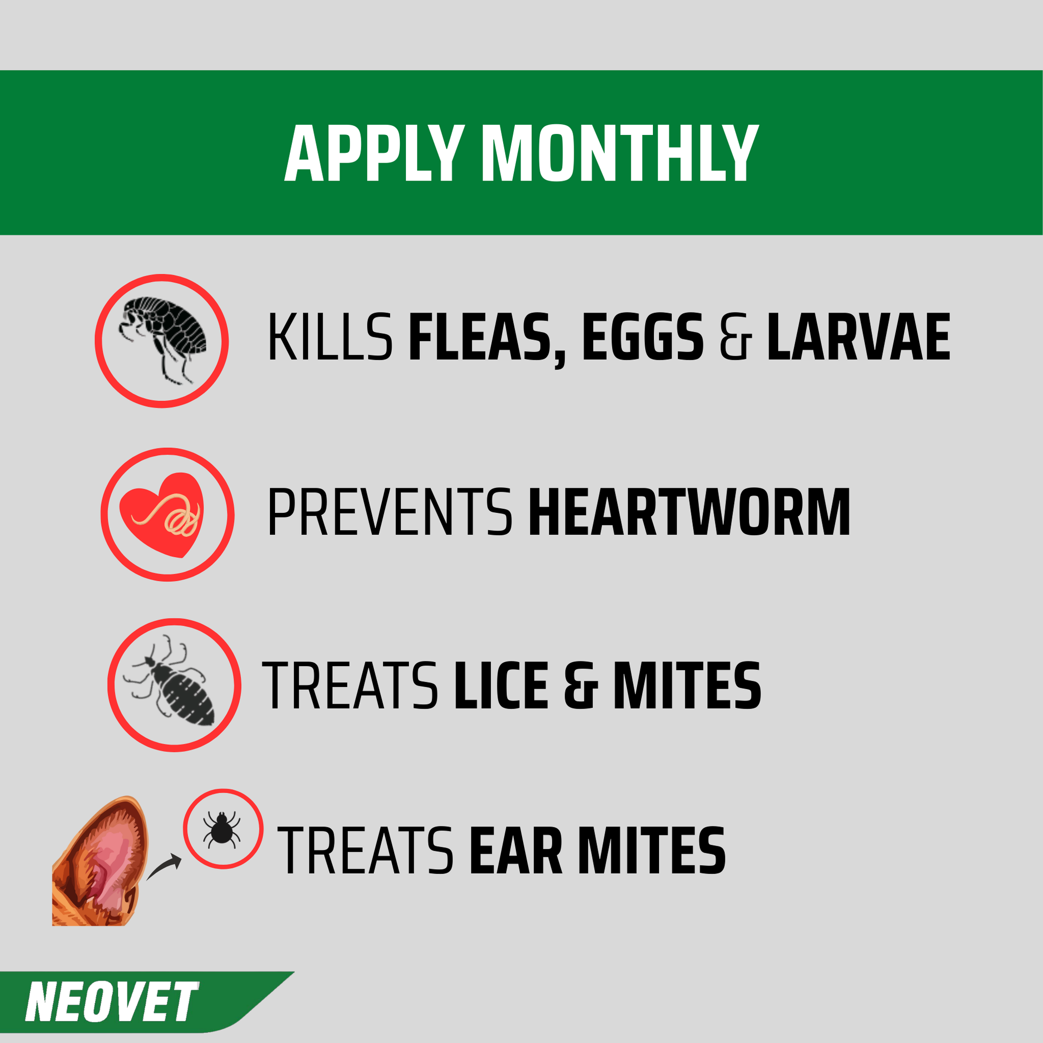 Neovet For Dog 10-25kg