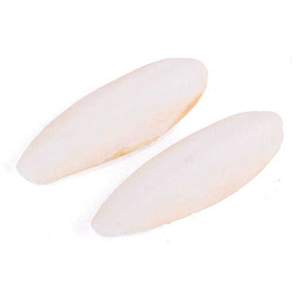 Kazoo Natural Bird Cuttlebone Medium