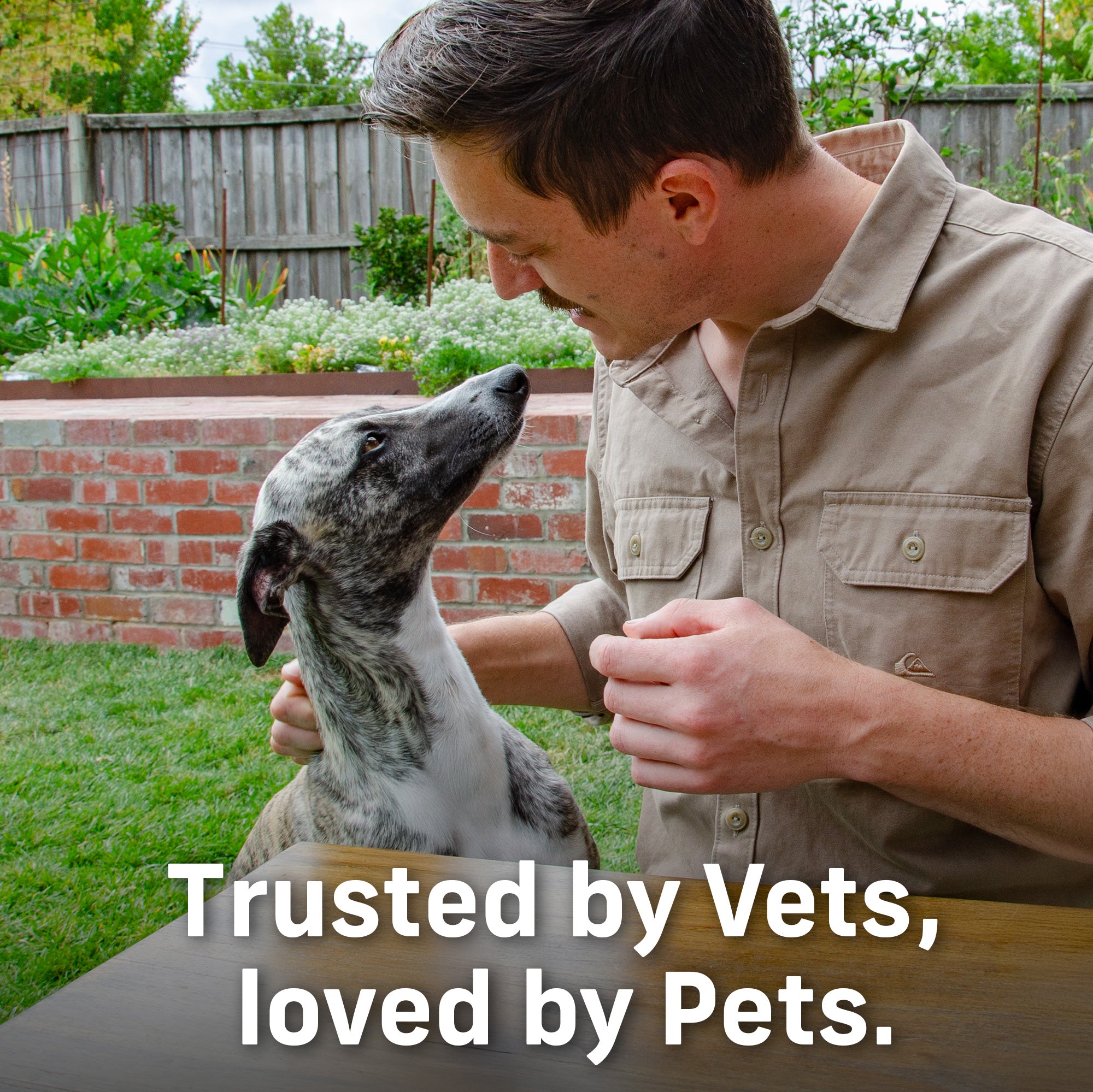 4CYTE Epiitalis Forte Joint Supplement Gel for Dogs