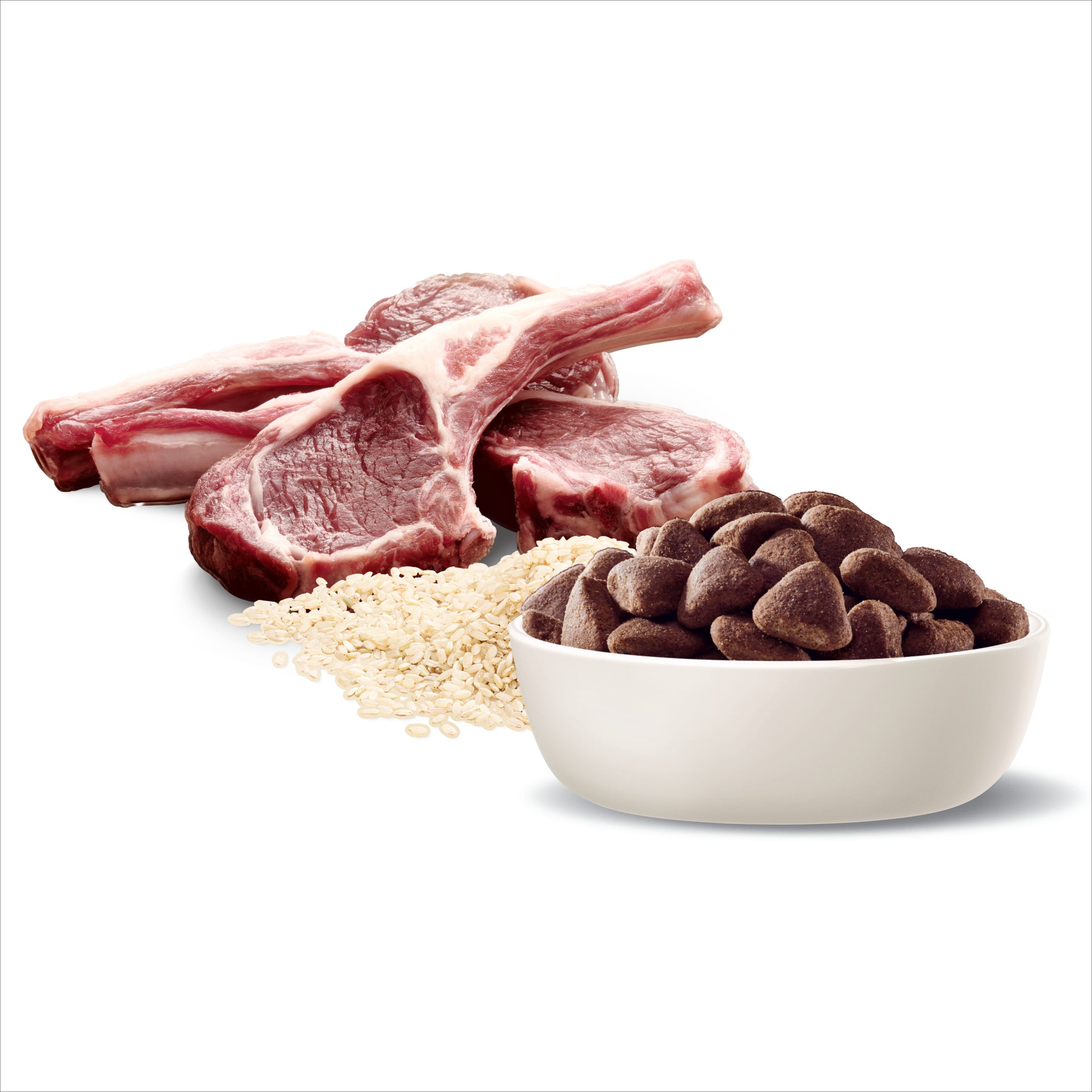 Advance Lamb and Rice Large Breed Adult Dry Dog Food 15kg
