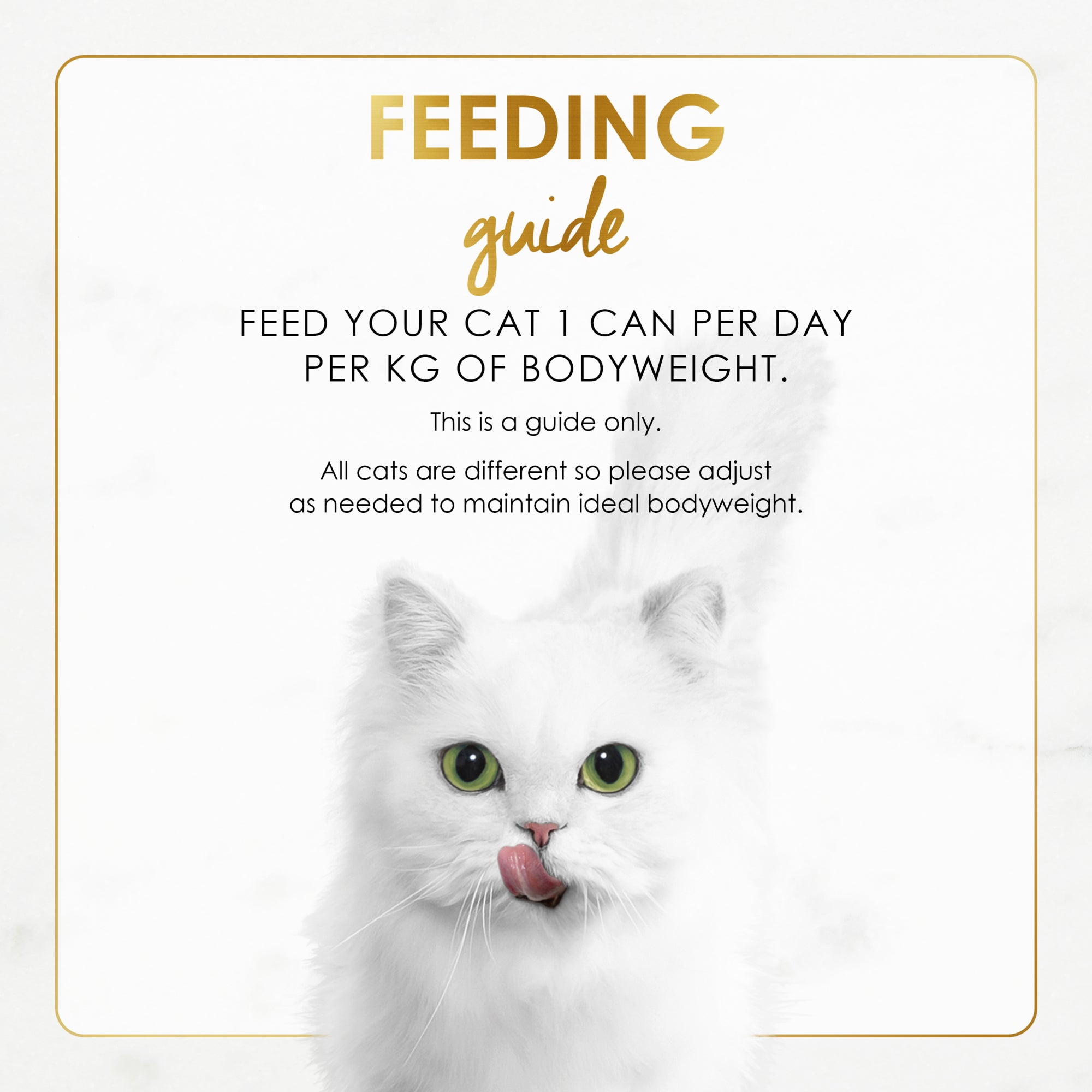 Fancy Feast Gravy Lovers Salmon Feast in Seared Salmon Flavour Wet Cat Food 85g x 48