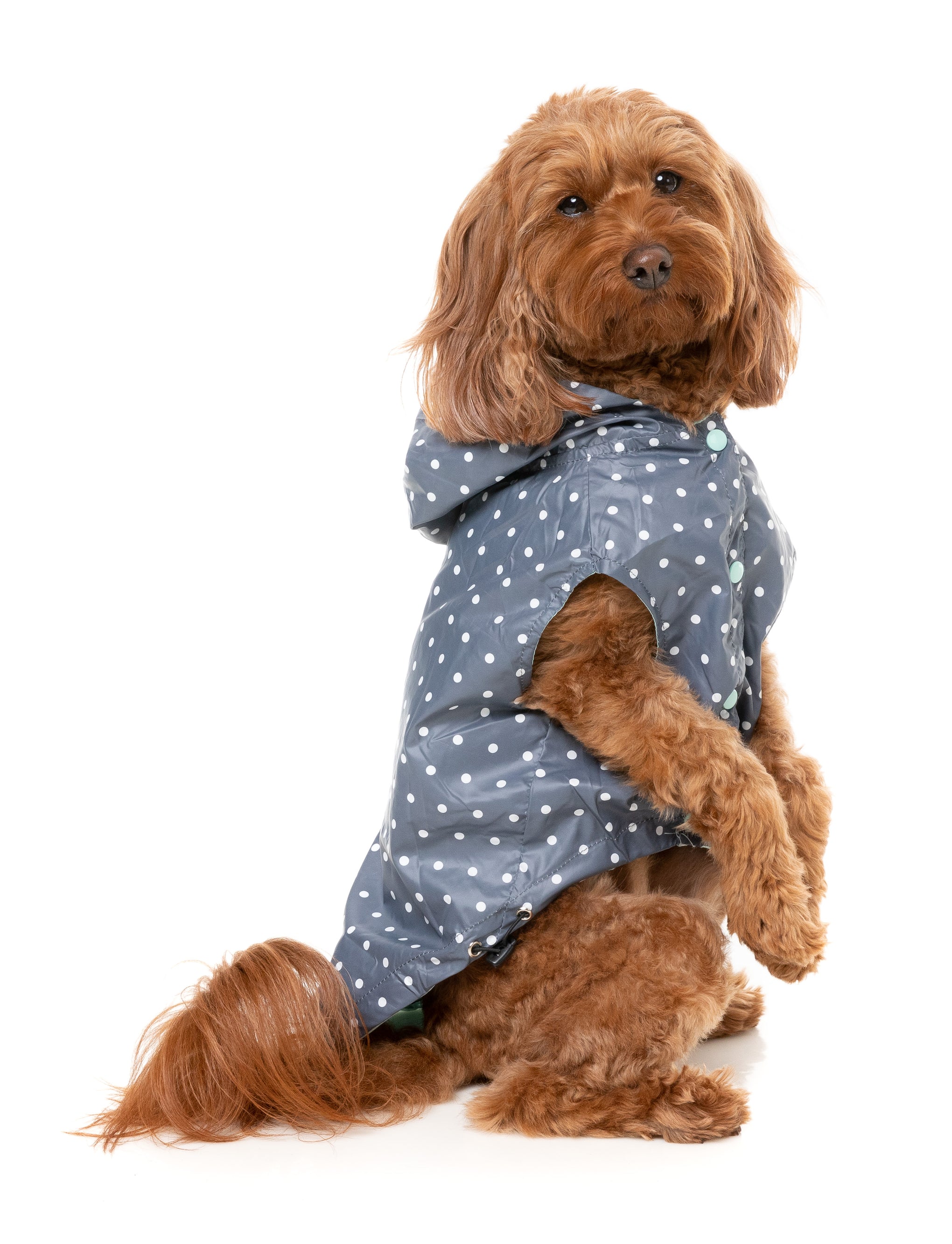 FuzzYard Flipside Dog Raincoat Mint