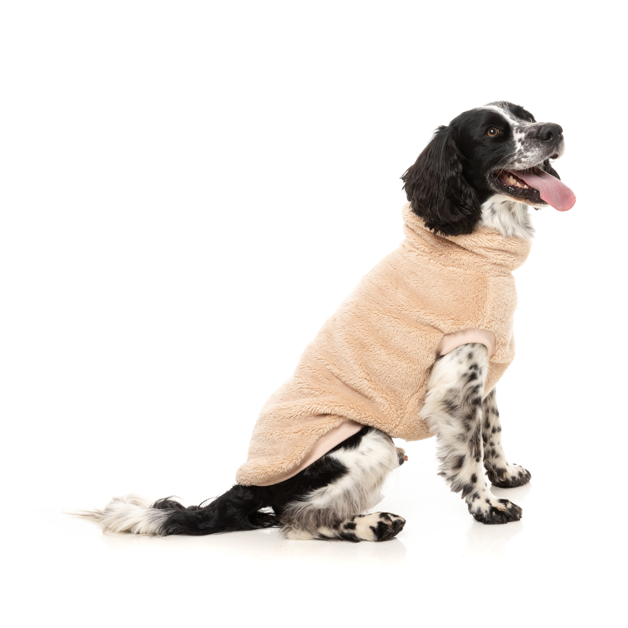 FuzzYard Turtle Teddy Dog Sweater Desert Tan