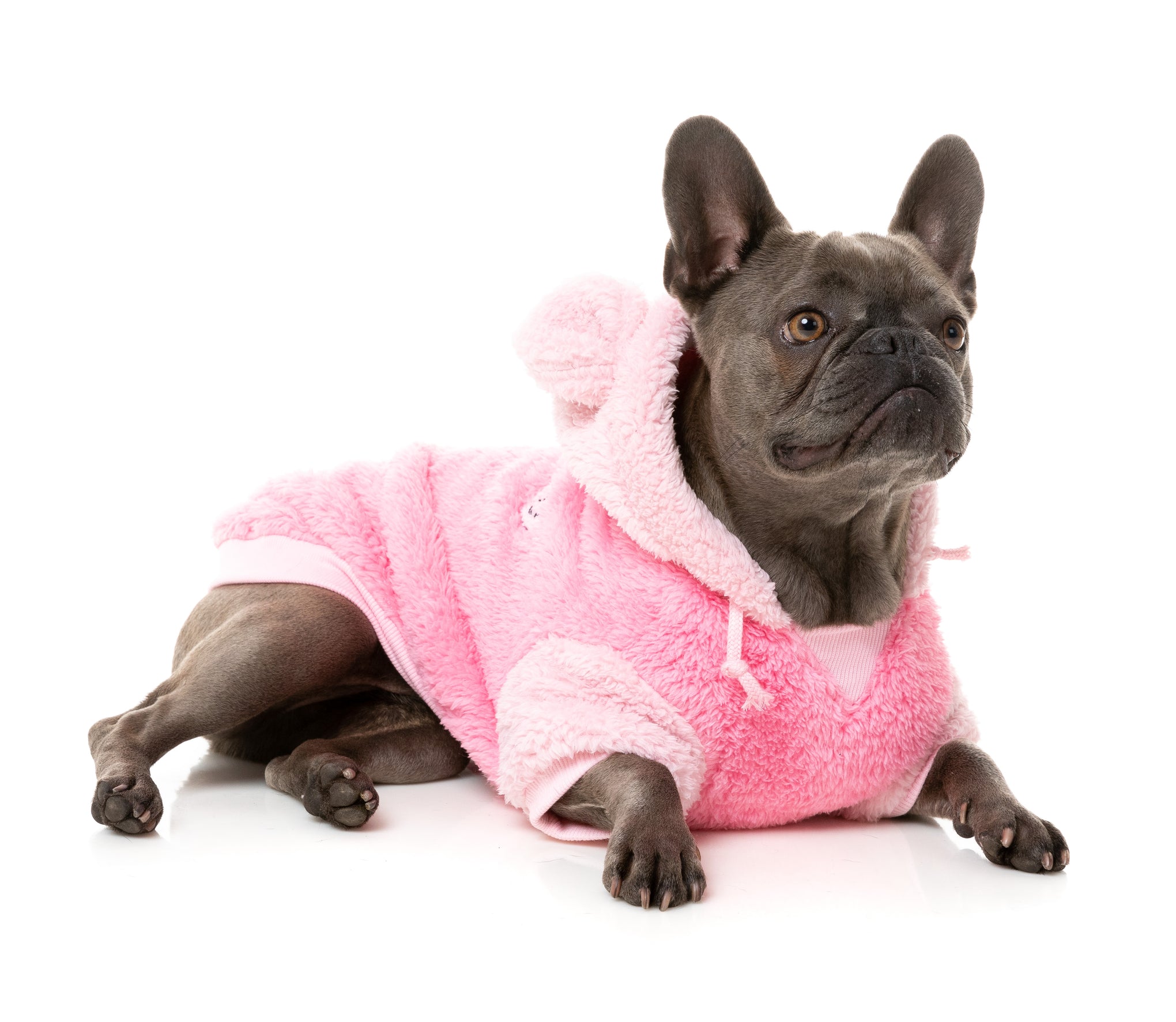 FuzzYard Winnie Dog Hoodie Pink