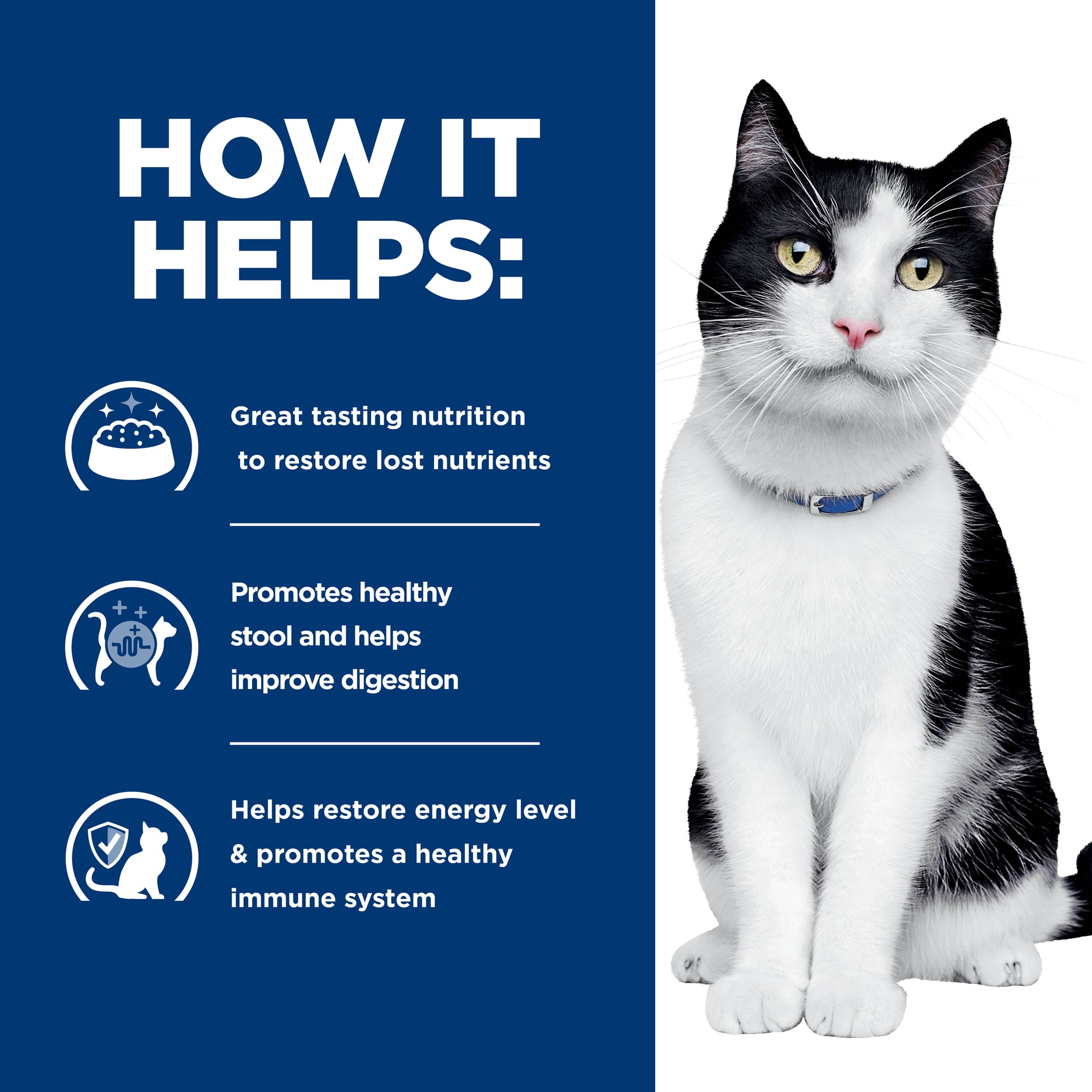 Hill's Prescription Diet i/d Digestive Care Canned Cat Food 156g x 24