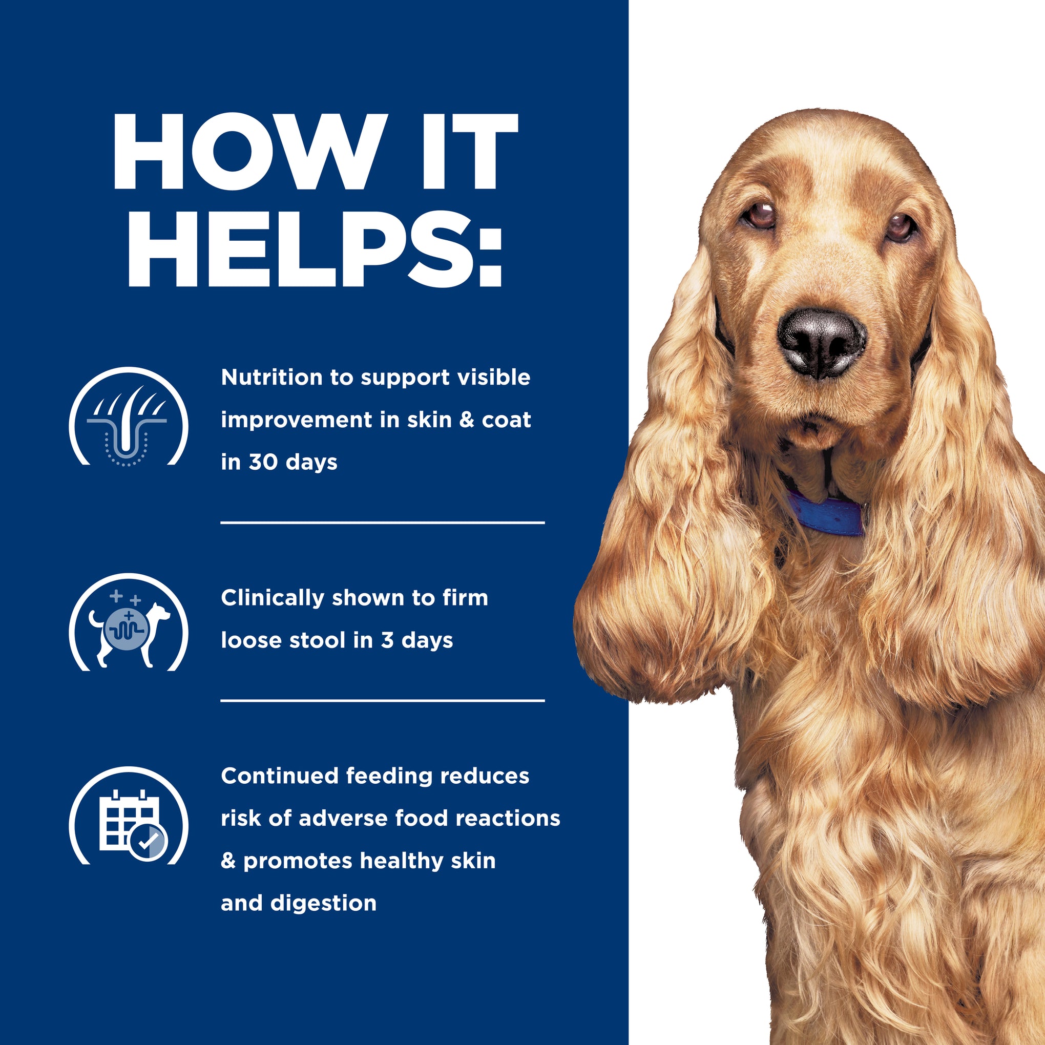 Hill's Prescription Diet z/d Skin/Food Sensitivities Dry Dog Food