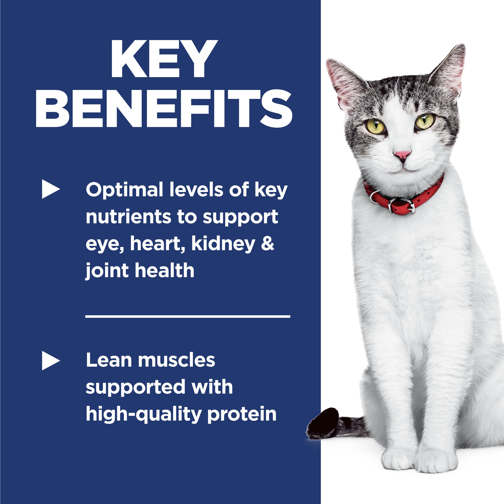 Hill's Science Diet Adult 11+ Senior Dry Cat Food
