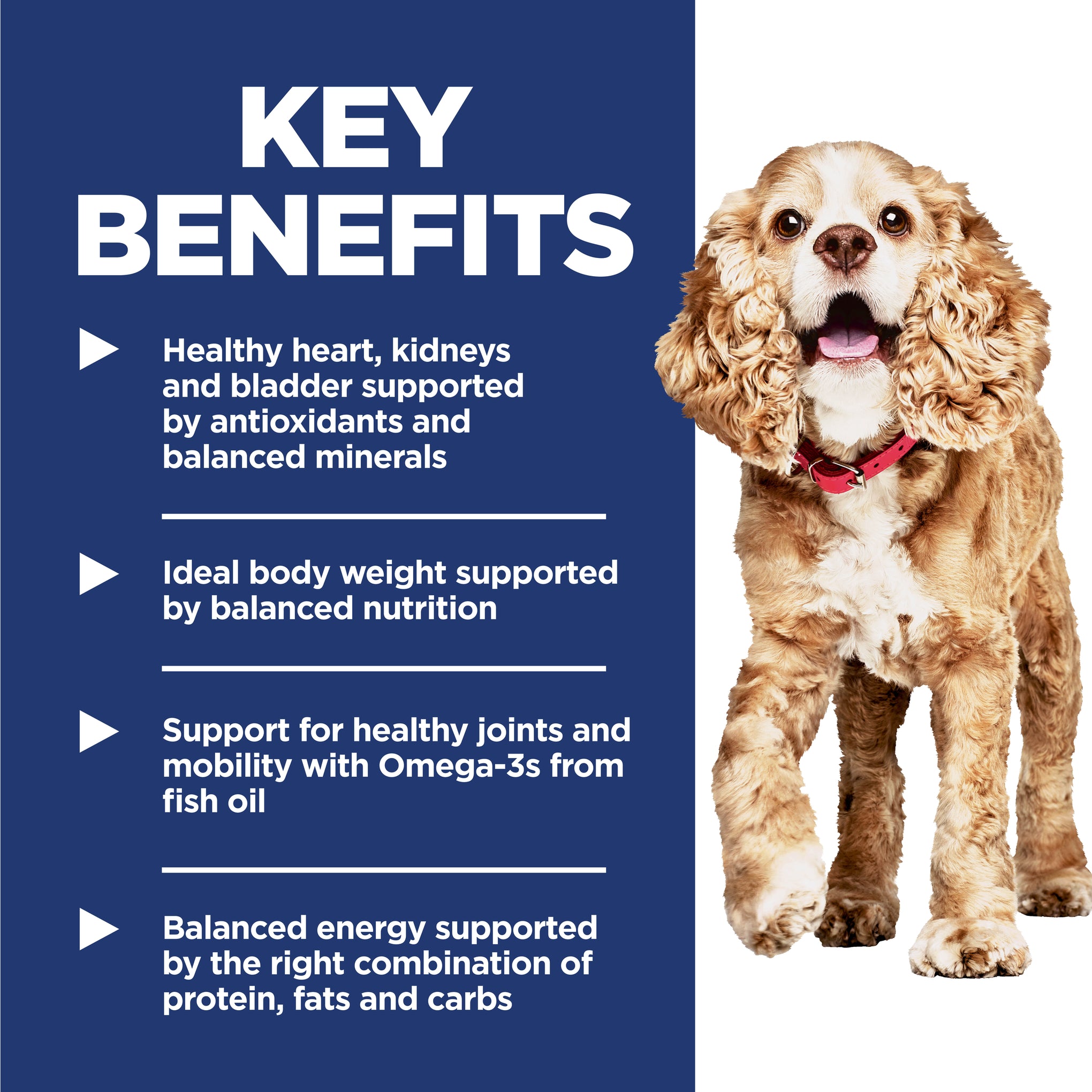 Hill's Science Diet Adult 11+ Senior Small and Mini Senior Dry Dog Food 2.04kg