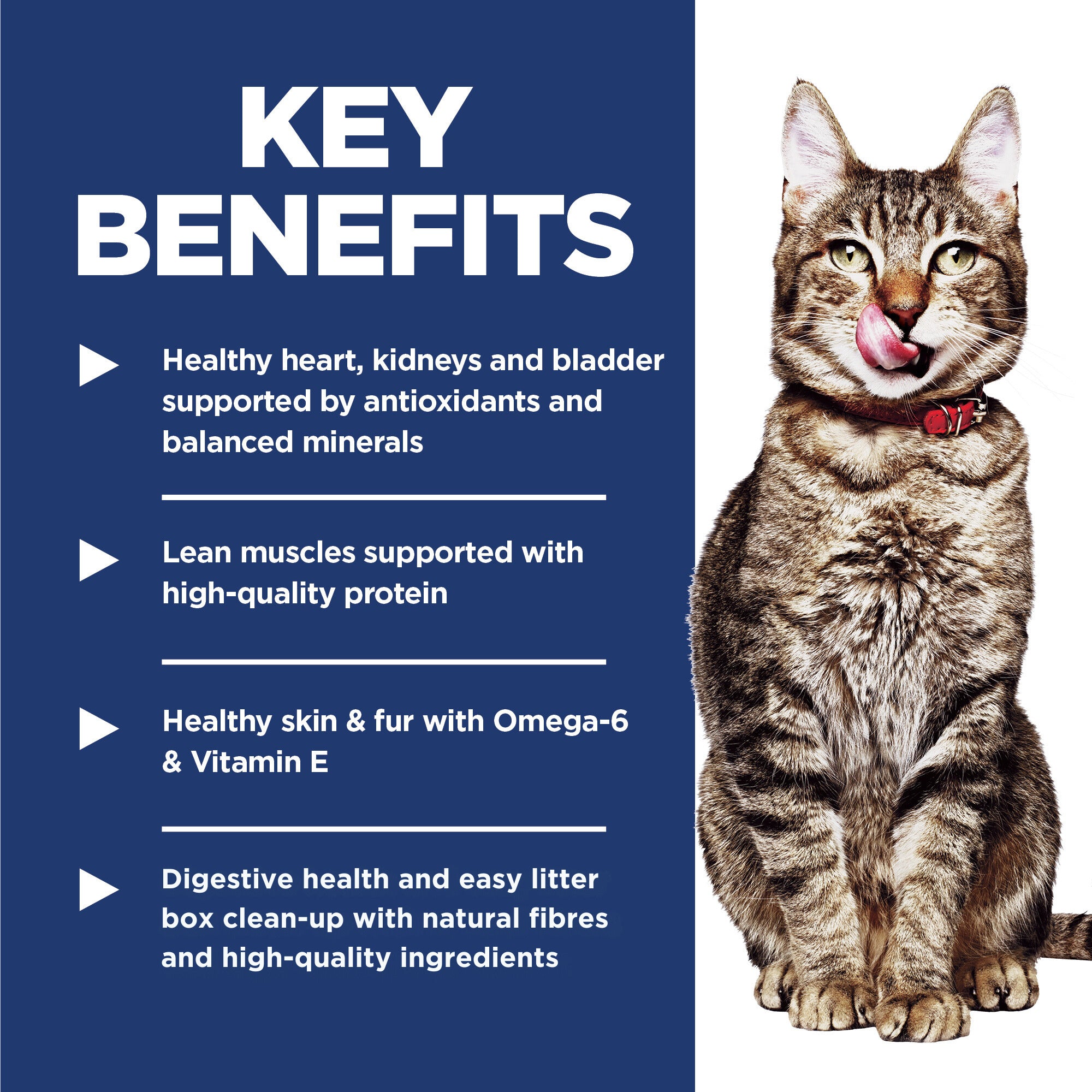 Hill's Science Diet Adult 7+ Senior Indoor Dry Cat Food