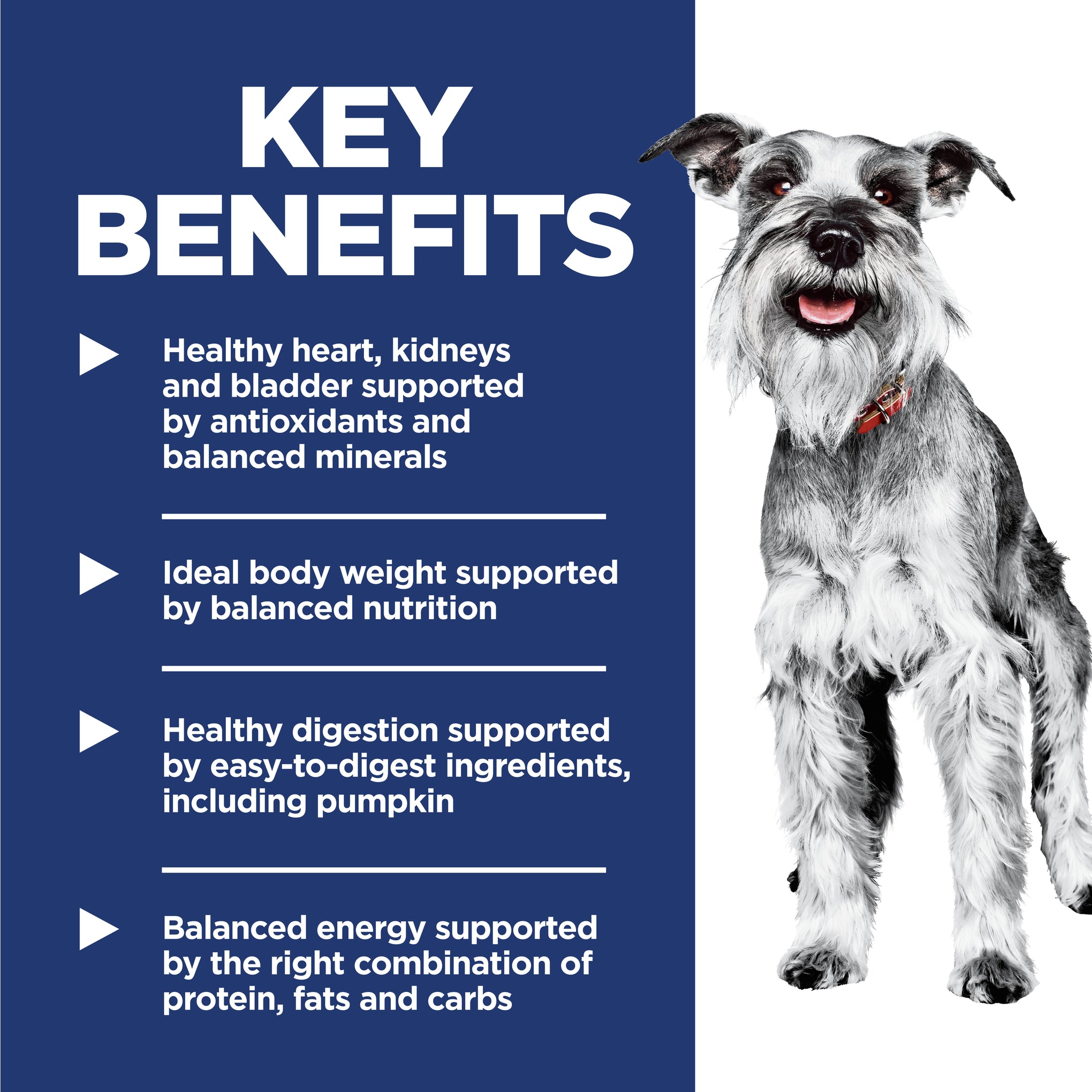 Hill's Science Diet Adult 7+ Small and Mini Senior Dry Dog Food 1.5kg