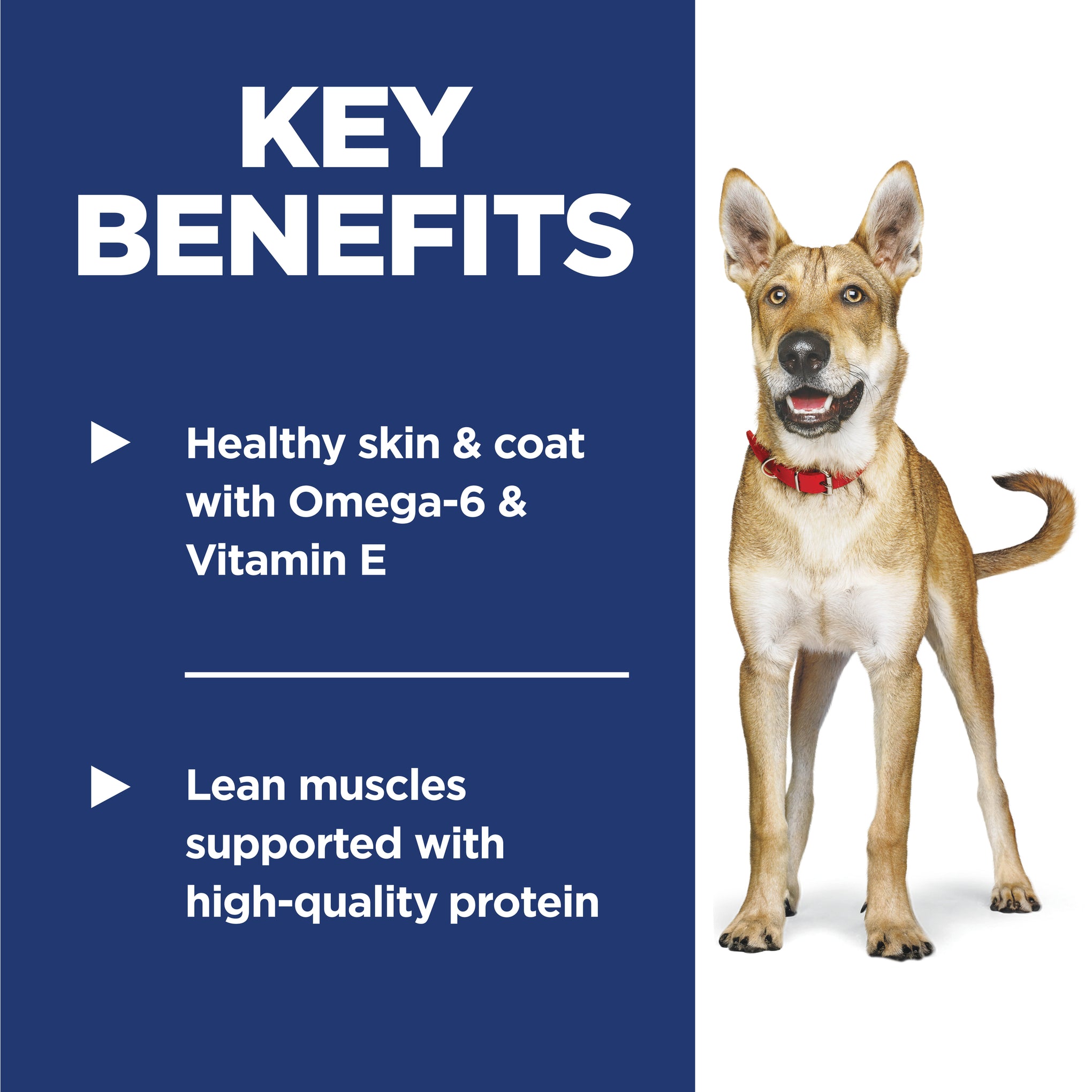 Hill's Science Diet Adult Lamb & Rice Dry Dog Food 14.97kg