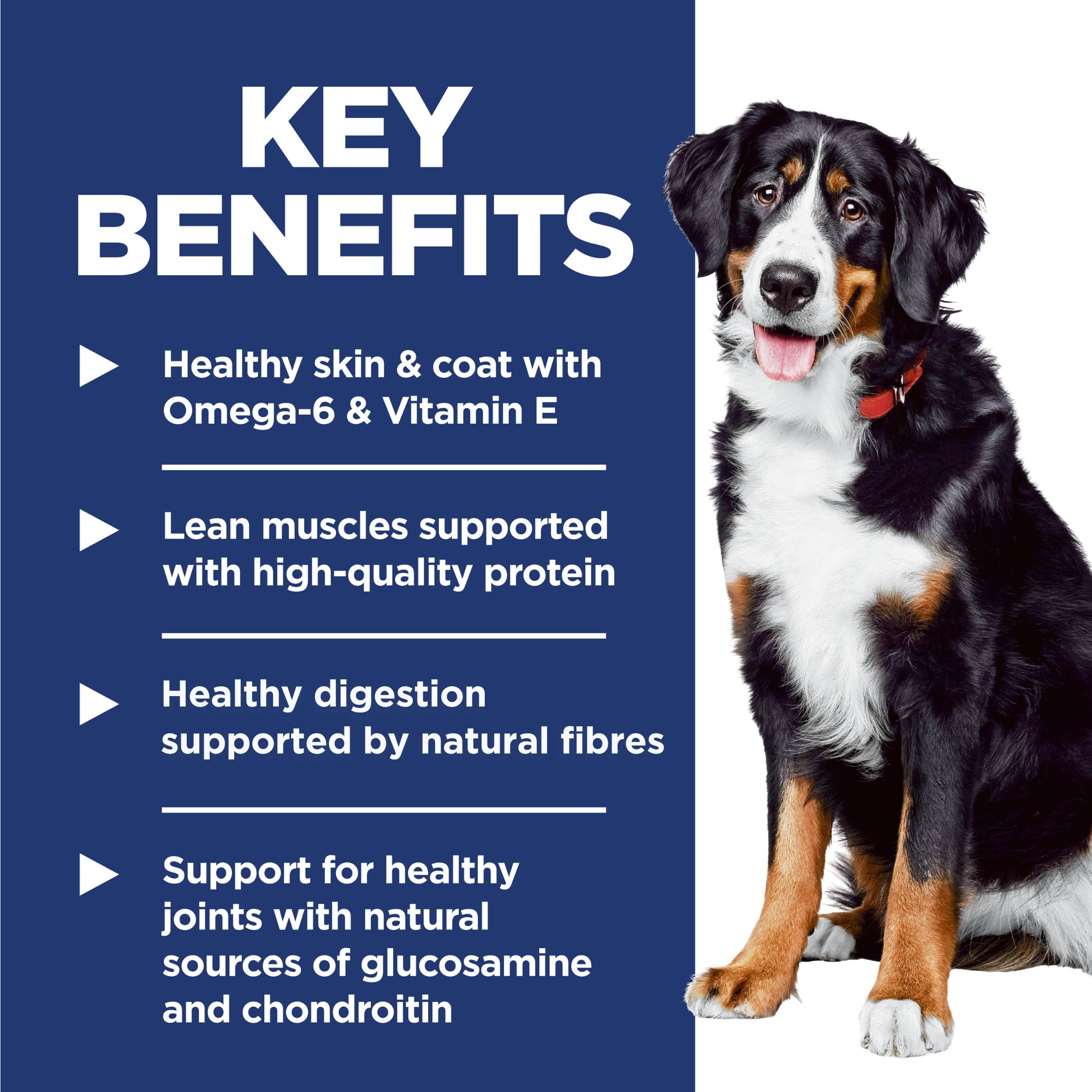 Hill's Science Diet Adult Large Breed Lamb & Rice Dry Dog Food 14.97kg