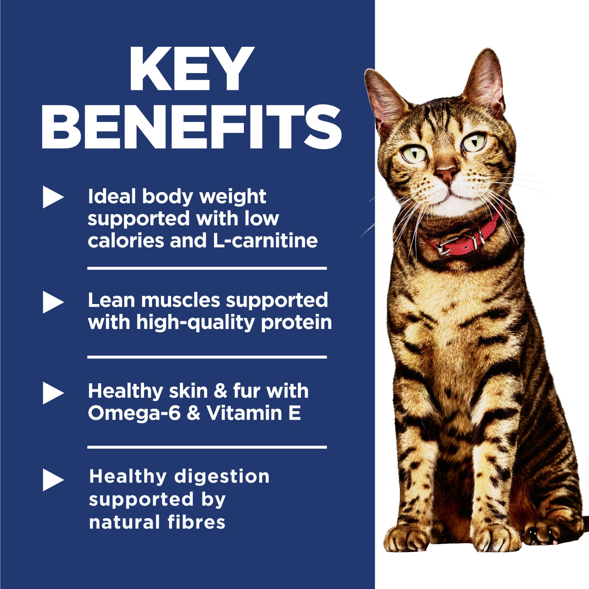Hill's Science Diet Adult Light Dry Cat Food 3.5kg