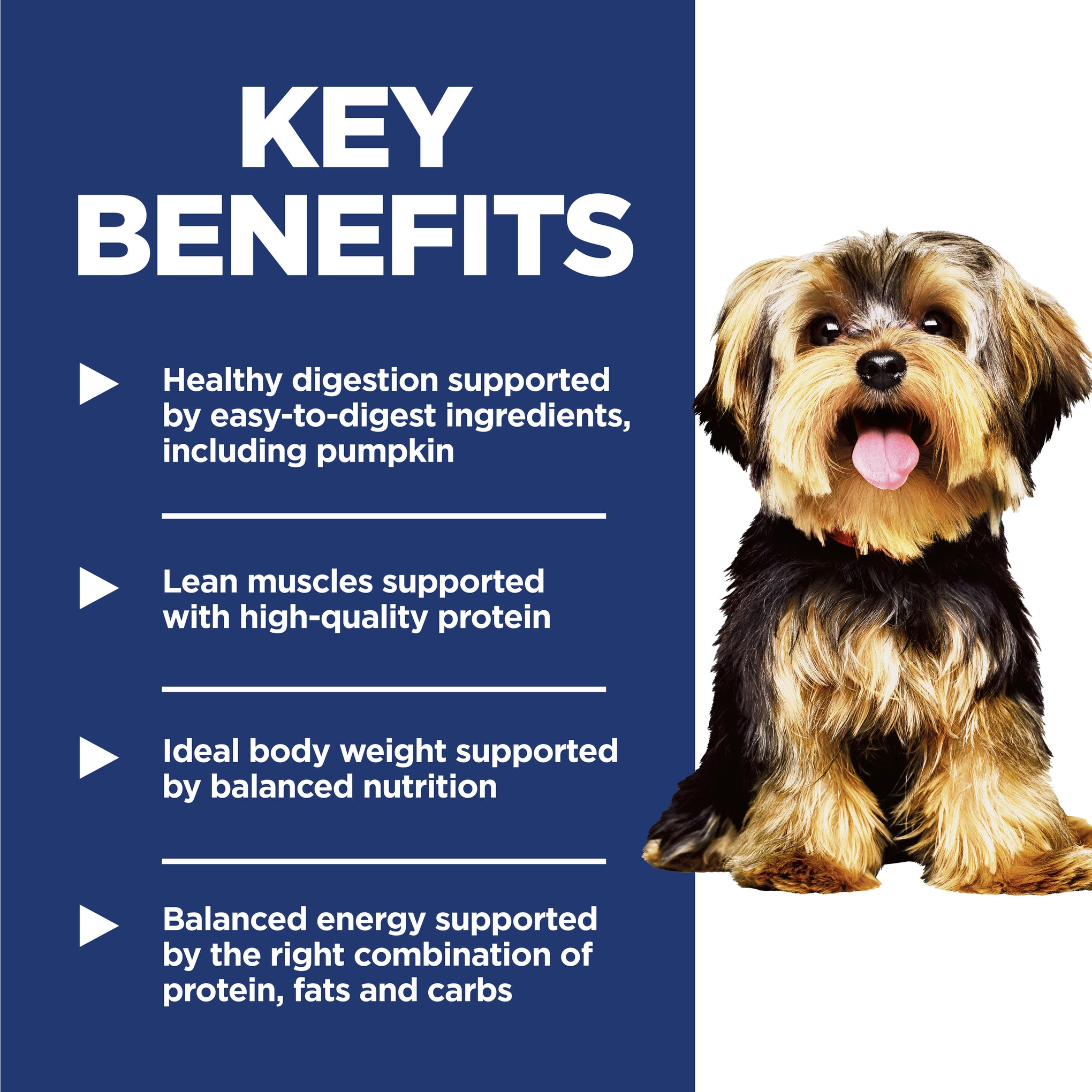 Hill's Science Diet Adult Small and Mini Dry Dog Food