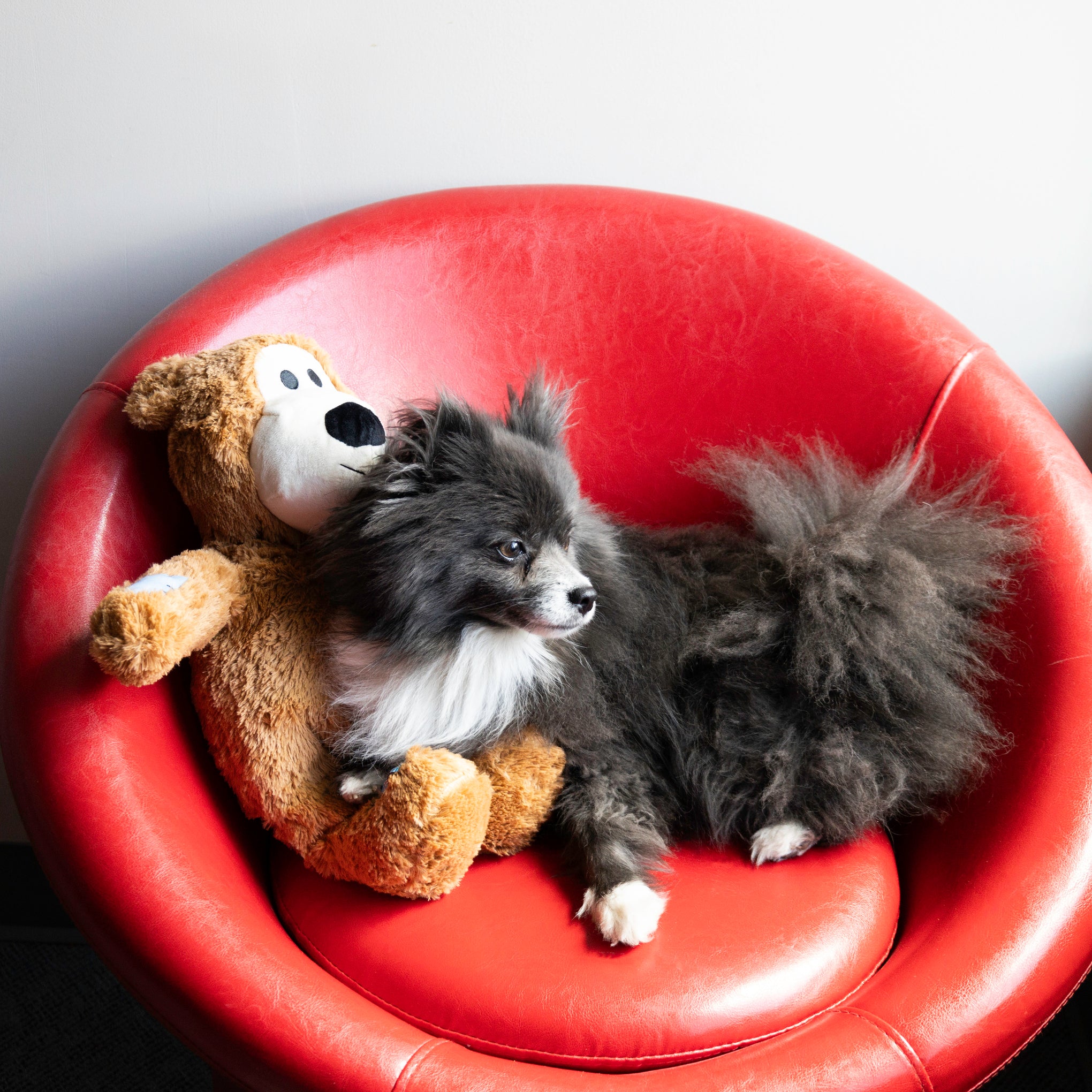 KONG Wild Knots Bear Jumbo Assorted Dog Toy X Large