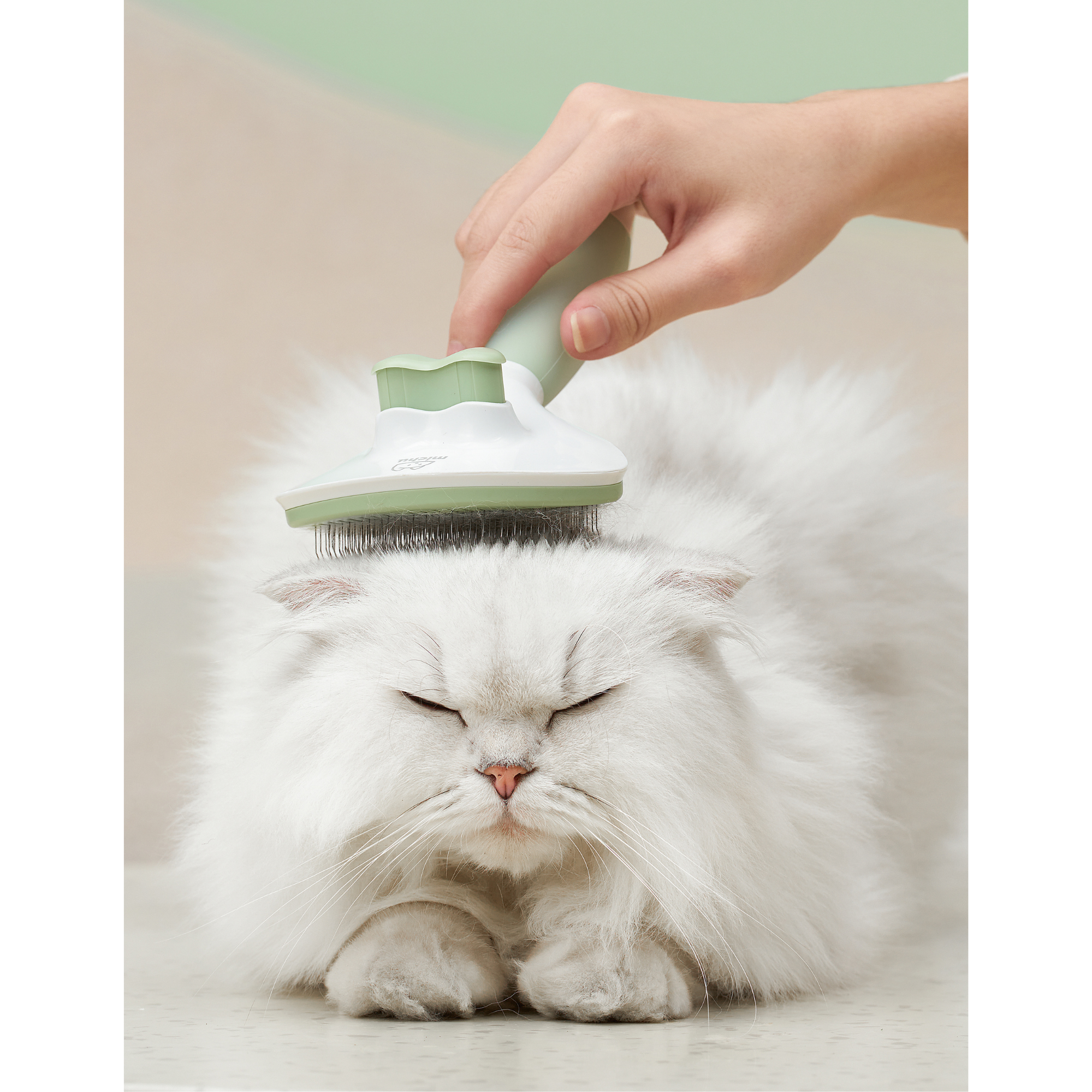 Michu Cream Round Head Grooming Dog and Cat Brush